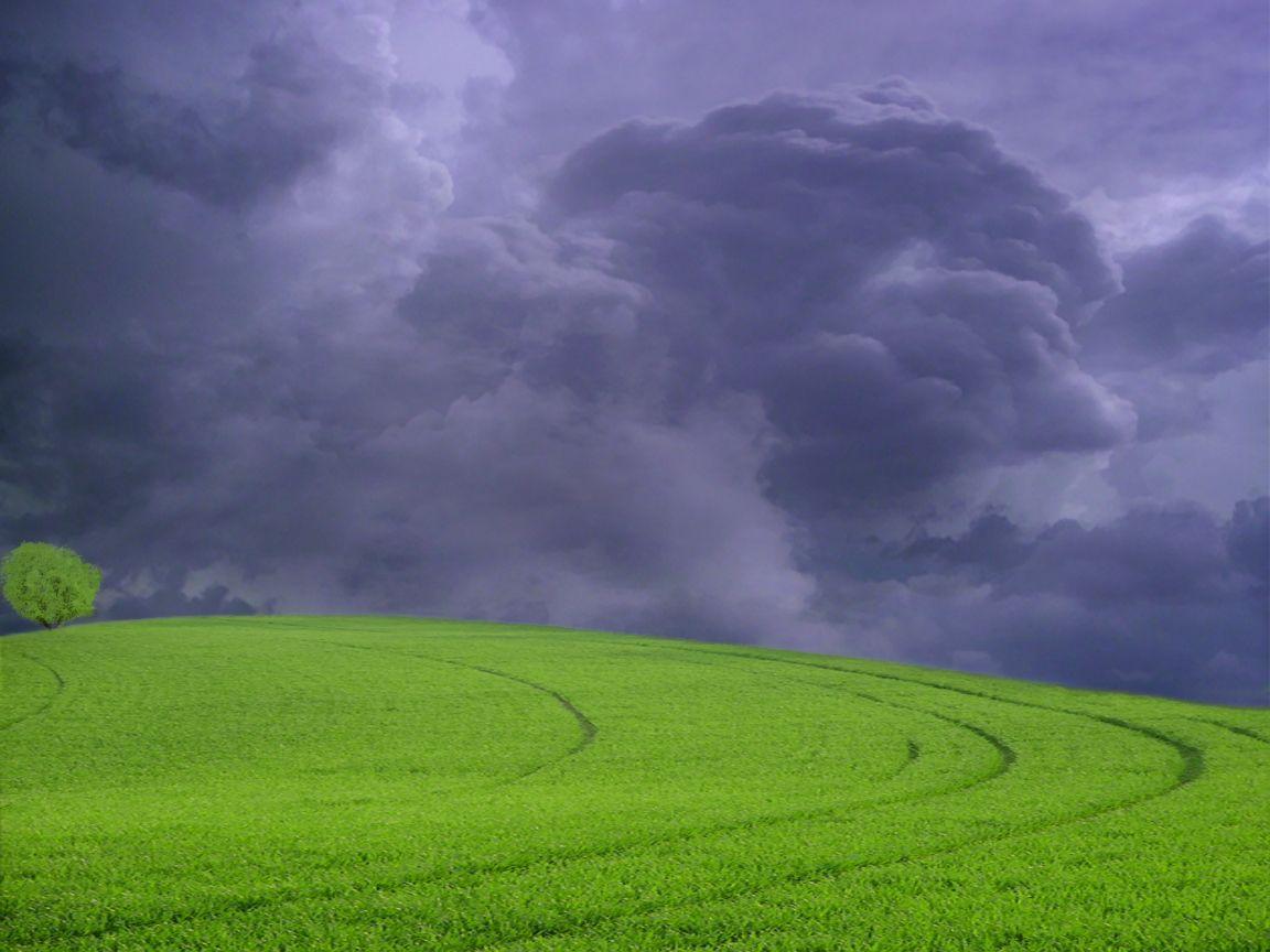 I'll take the rain wallpaper. I'll take the rain
