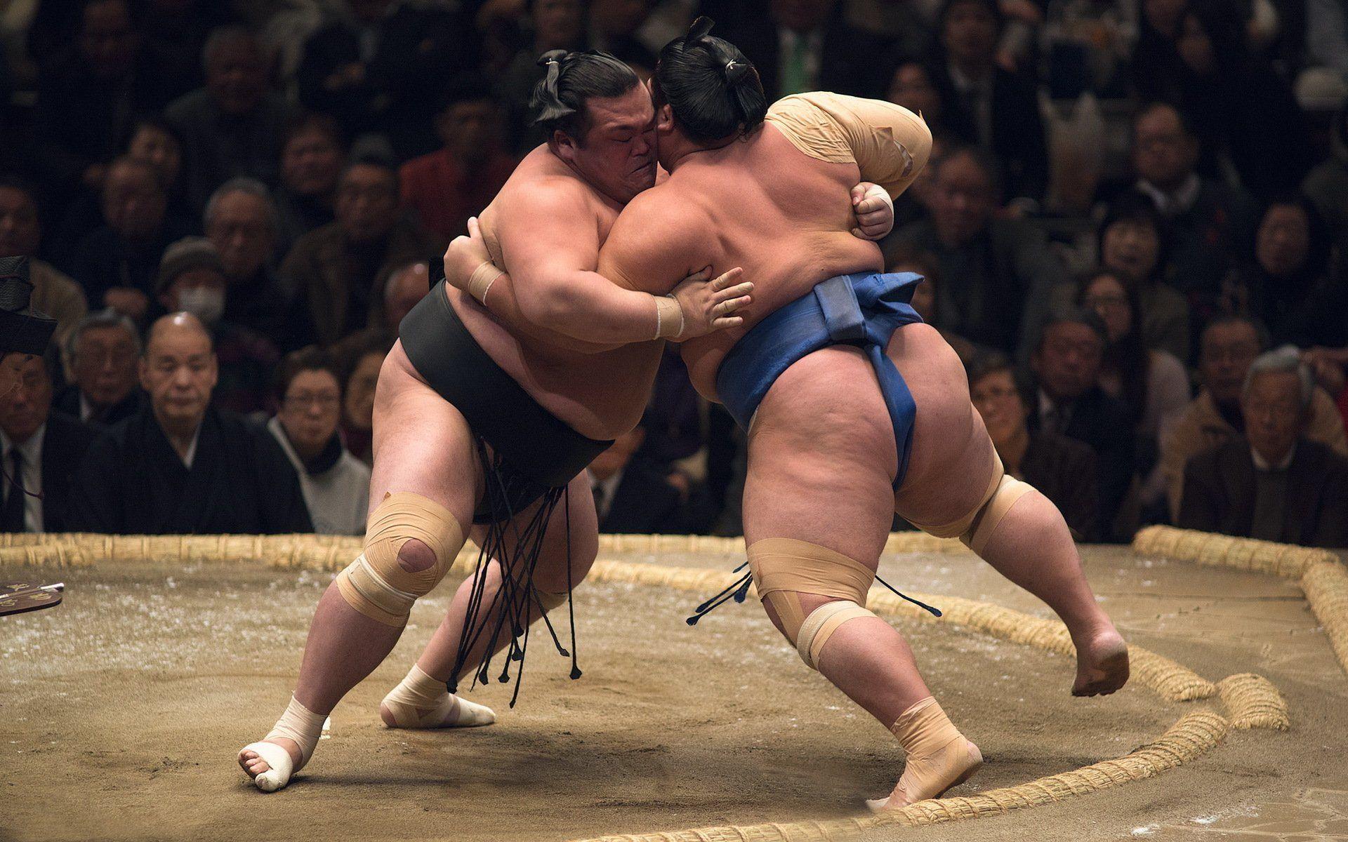 wrestling sumo sports HD wallpaper