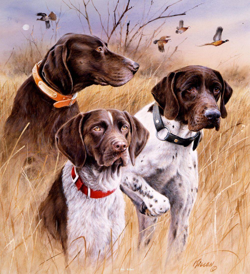 Hunting Dogs Drawing.com. Free for personal use