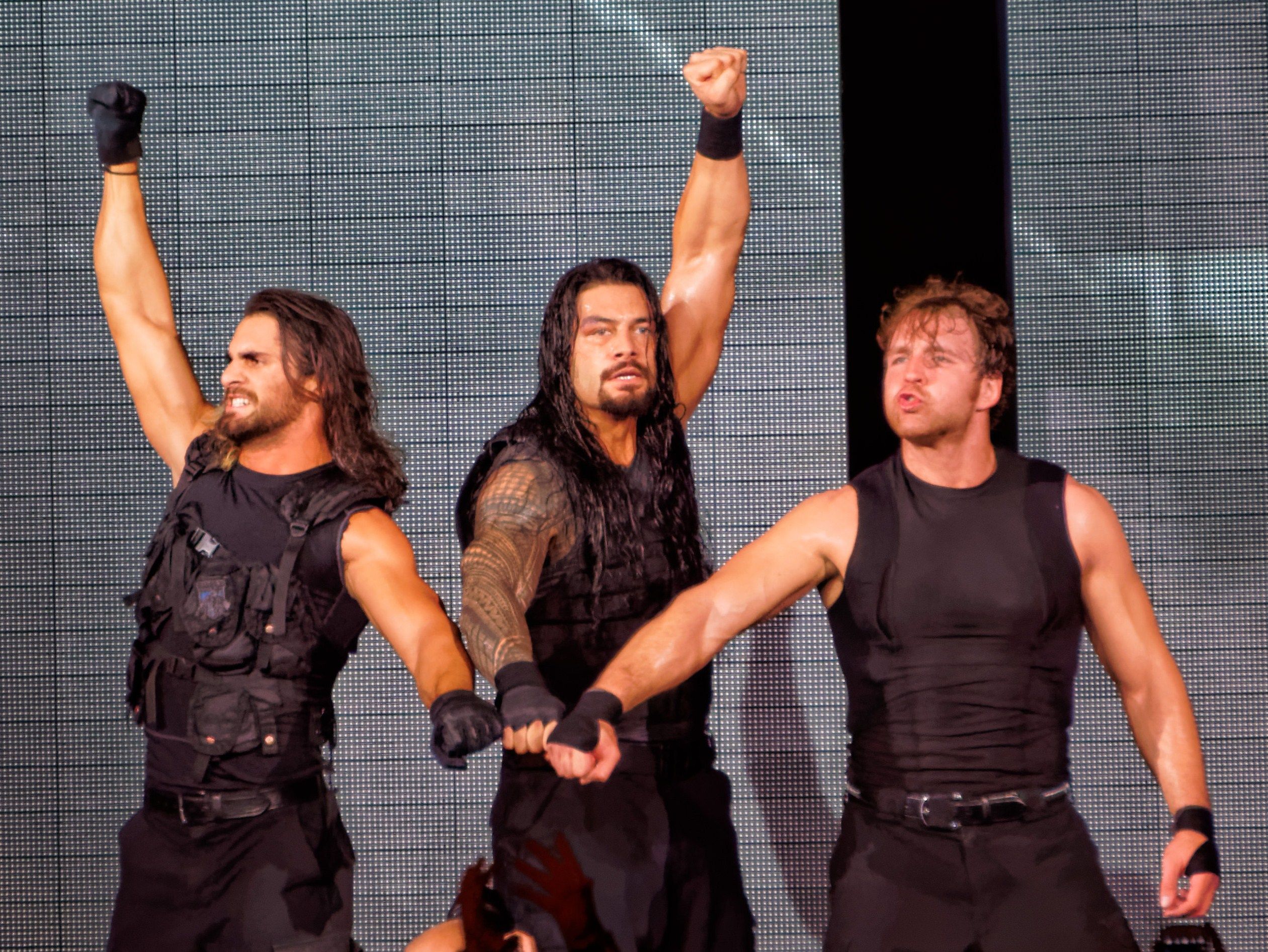 The Shield (professional wrestling)
