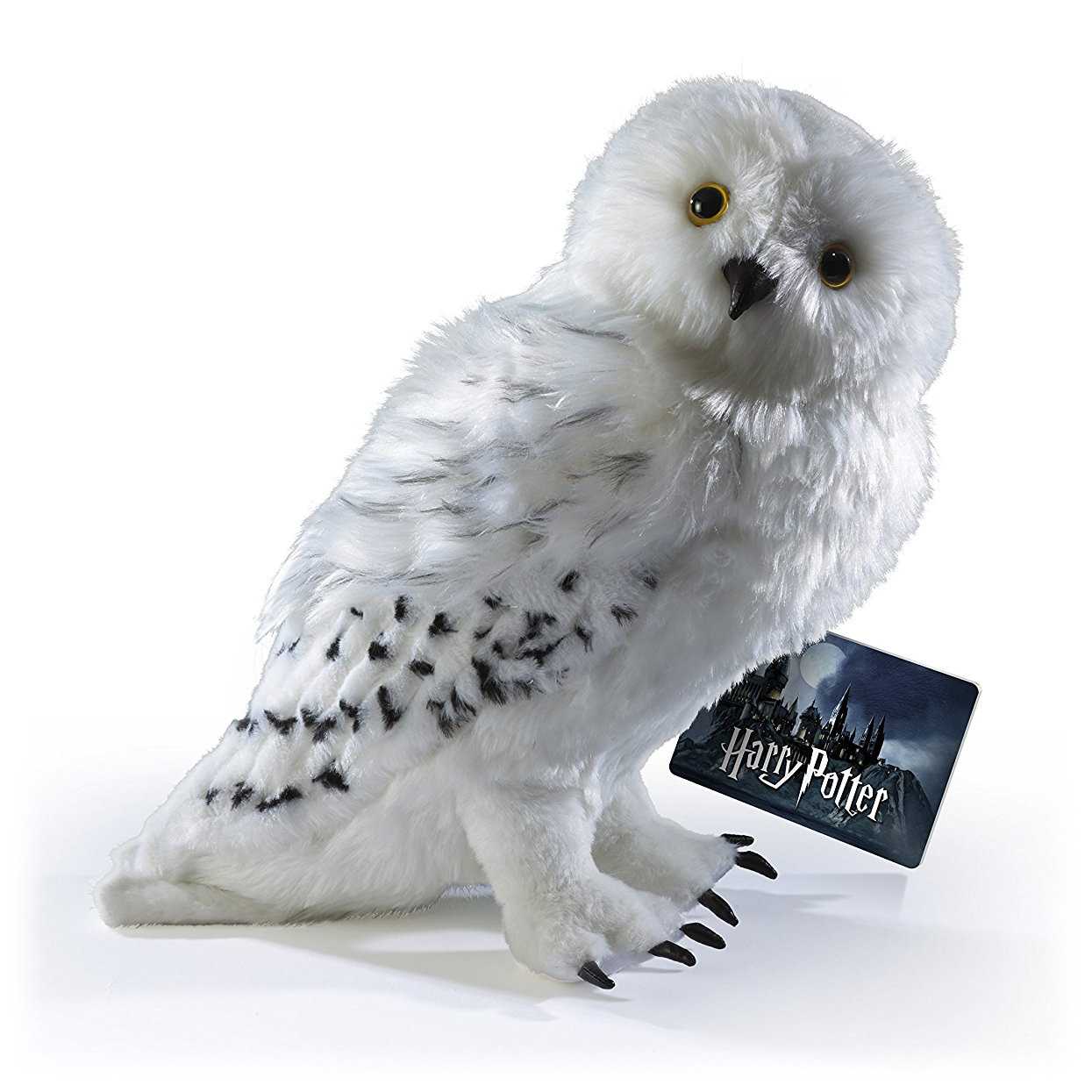 Featured image of post Hedwig Harry Potter Owl Wallpaper Find the best free stock images about harry potter