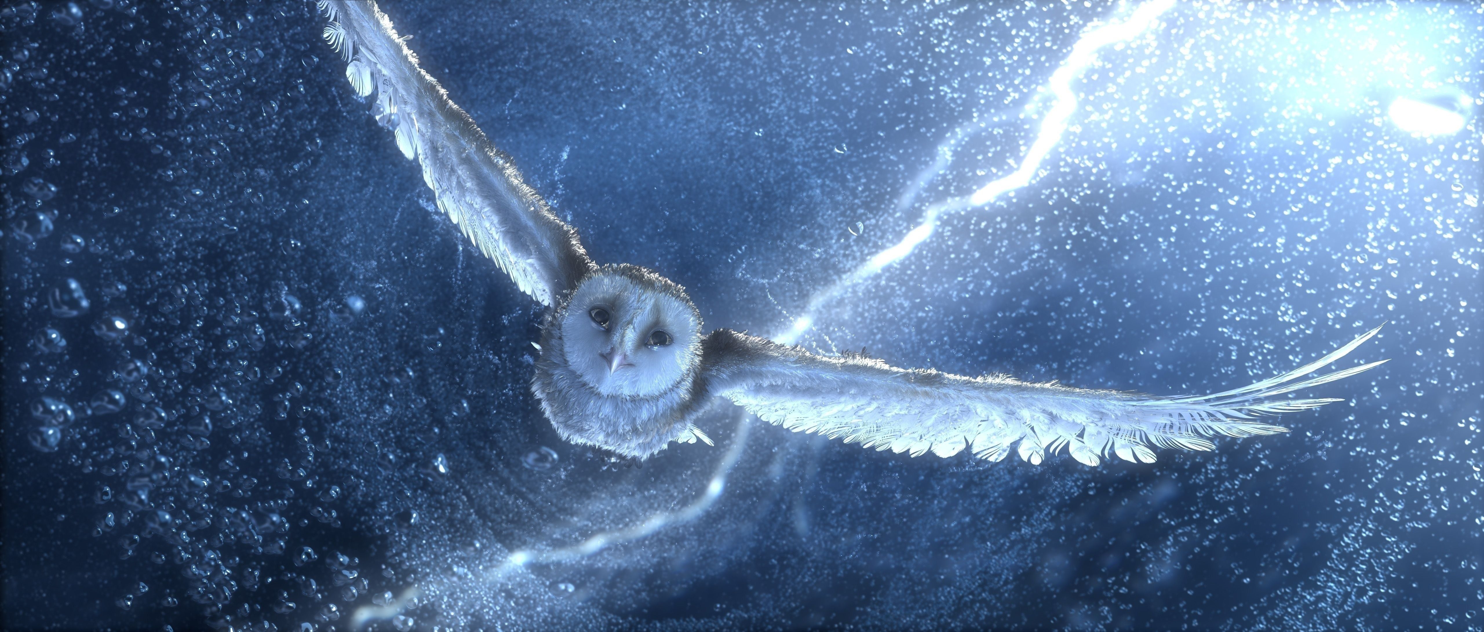 Wallpaper Midnight Owl Art, Art Print, Painting, Art, Canvas Wall Art,  Background - Download Free Image