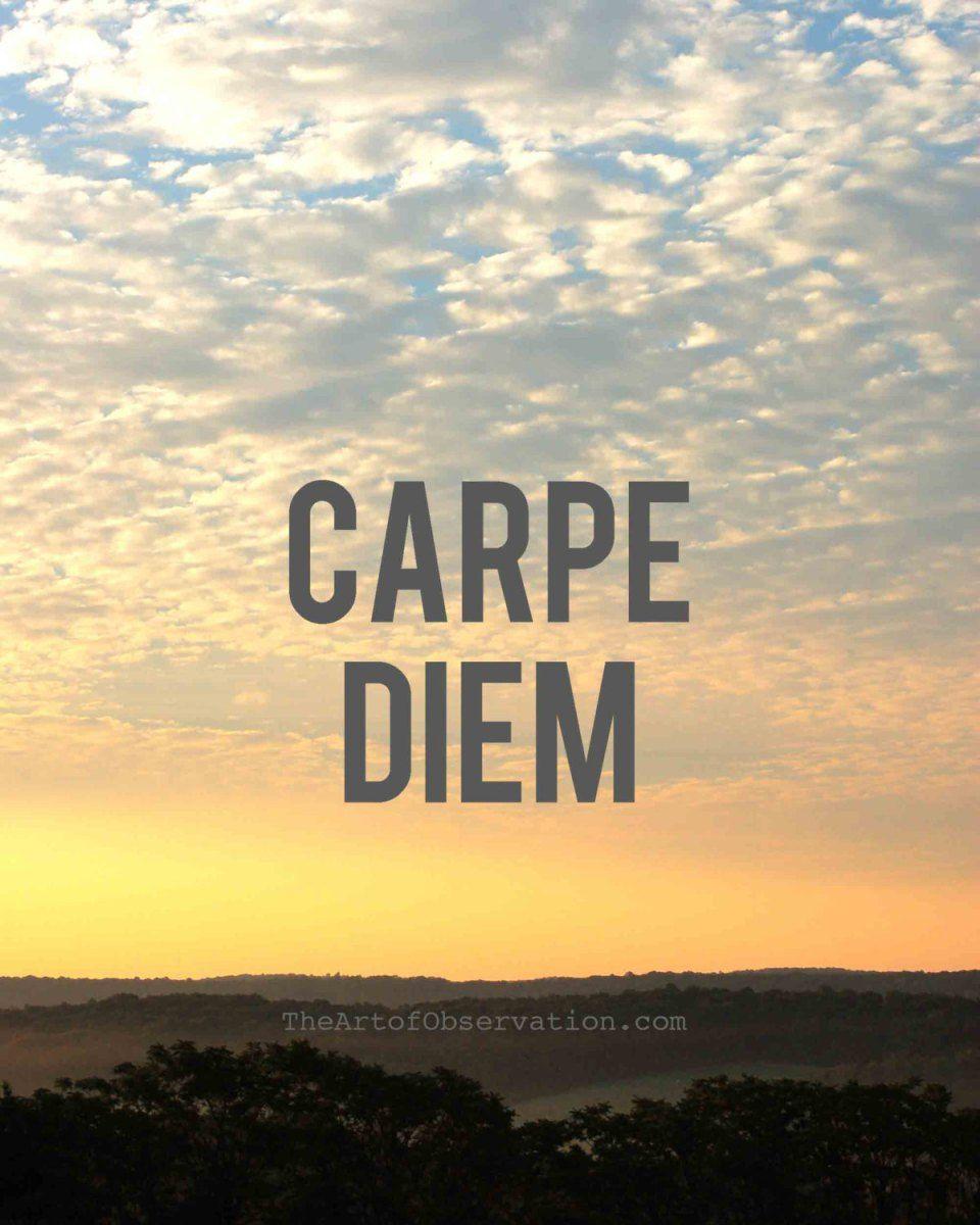 Carpe Diem Wallpaper HD 