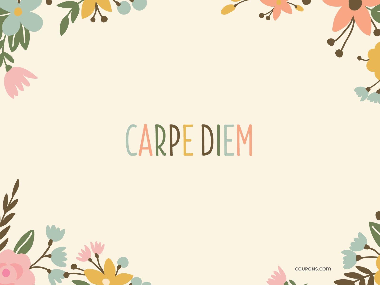 Carpe diem, Latin for seize the day, a famous phrase. Stock Photo | Adobe  Stock