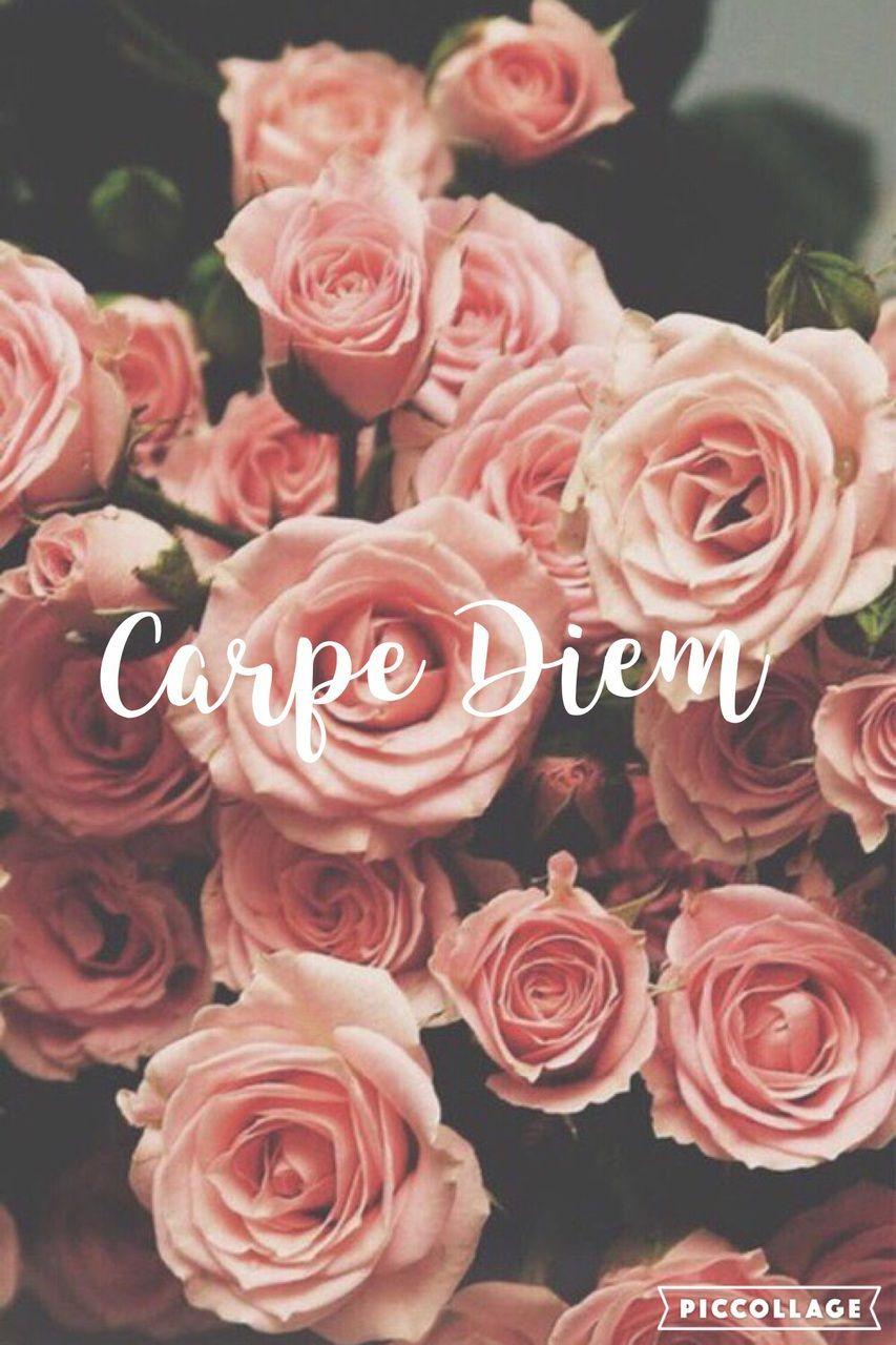 Carpe Diem Wallpapers - Wallpaper Cave