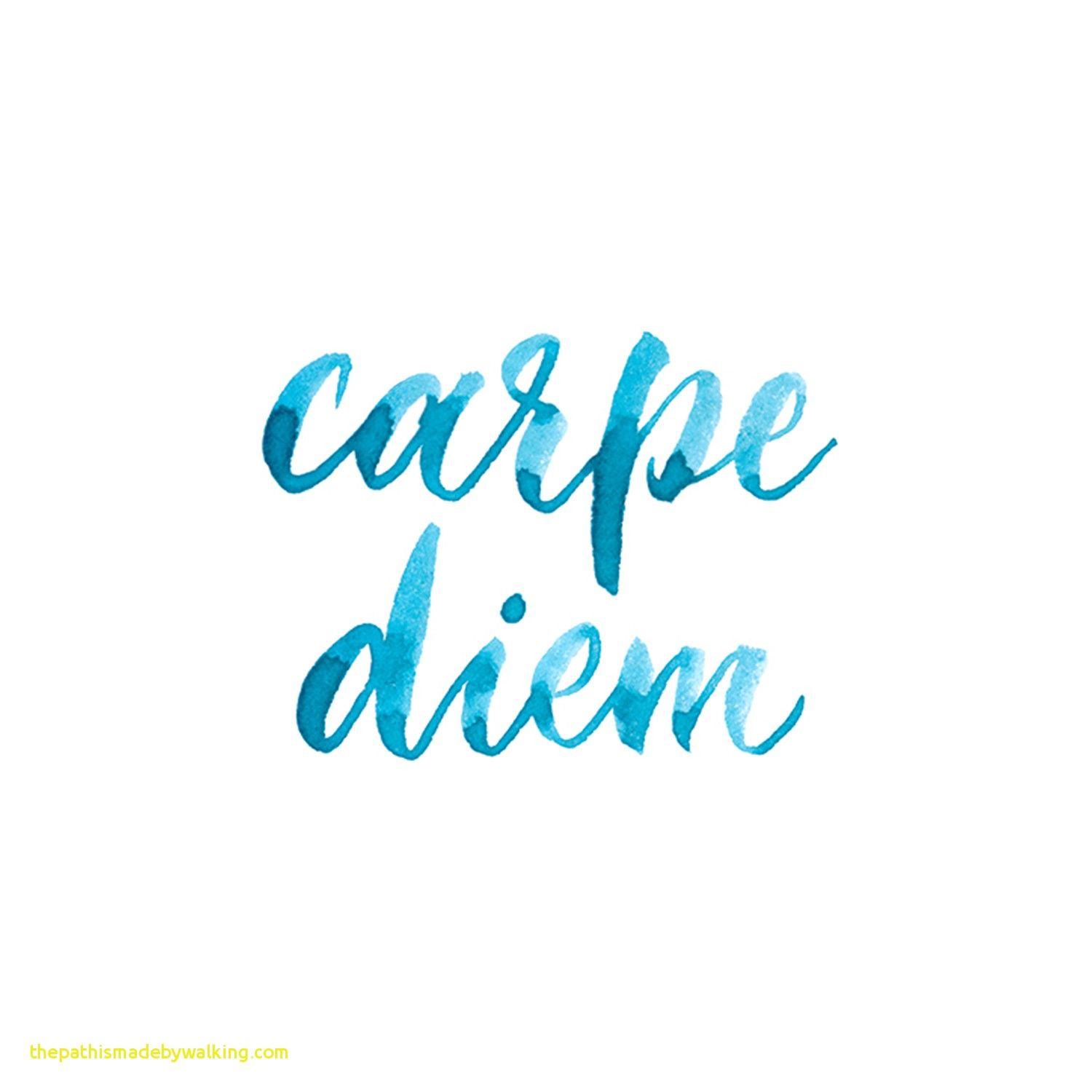 Carpe diem  wallpaper wallpaper by nikinkcreate - Download on