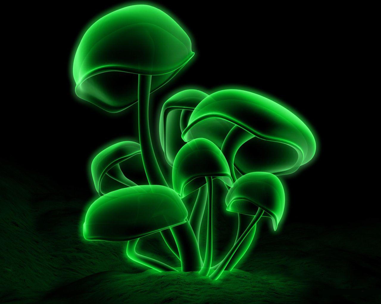 Green Mushroom Wallpaper