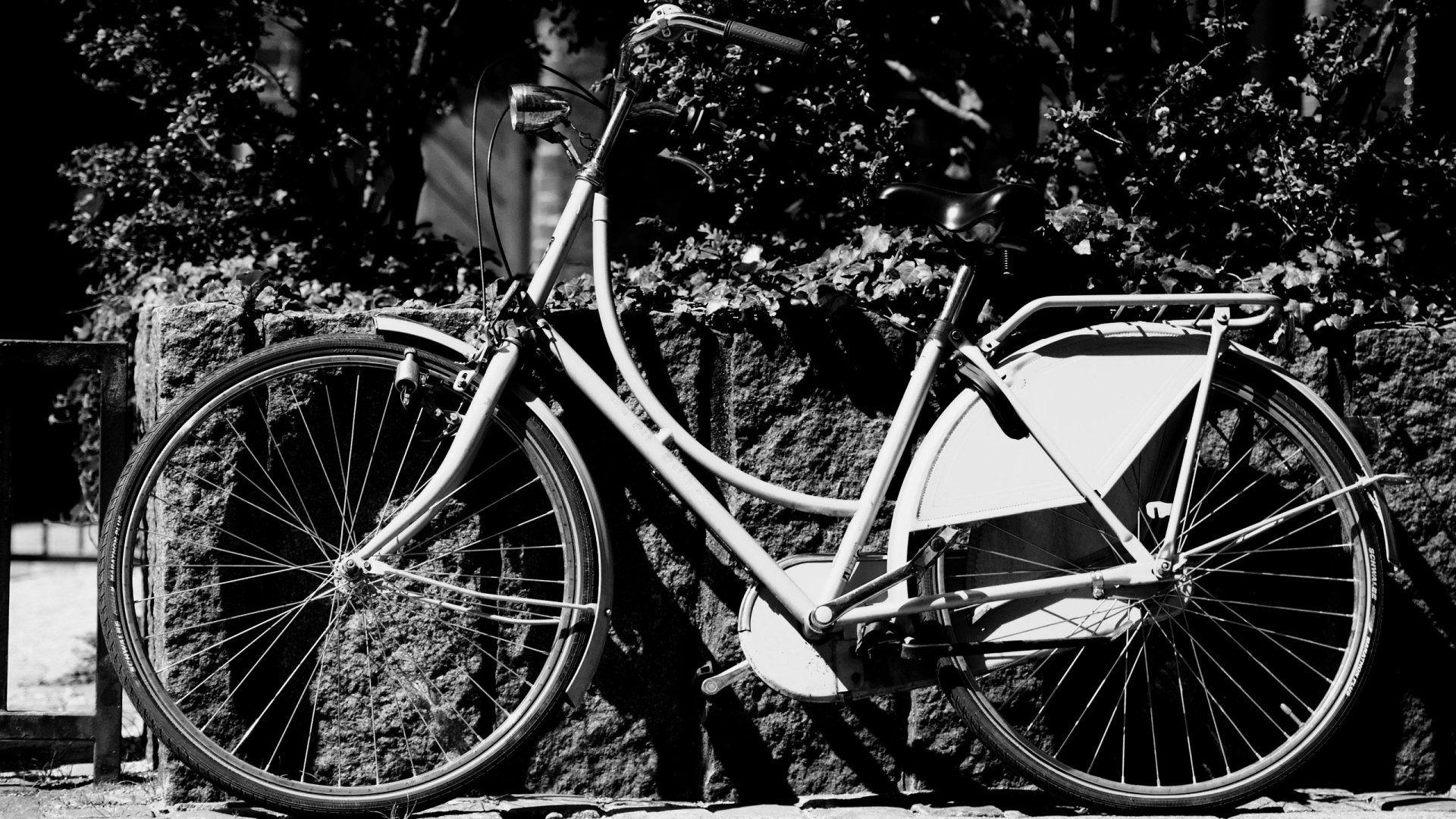 Vintage Bike 802428