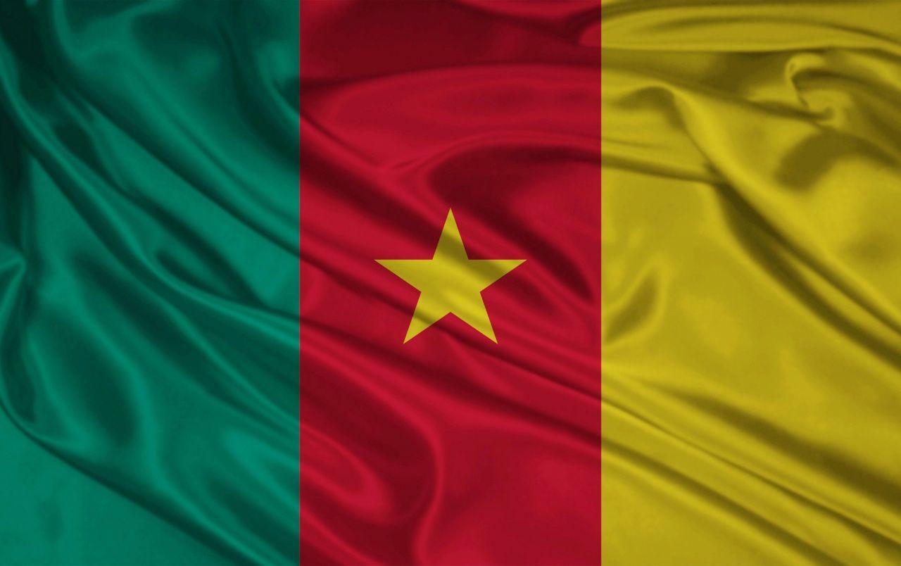 Cameroon Flag wallpaper. Cameroon Flag