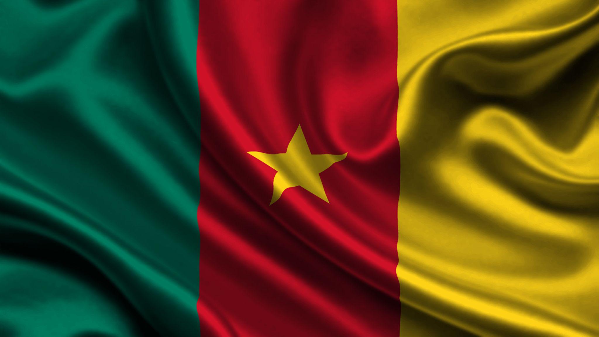 image Cameroon Flag Stripes 2048x1152