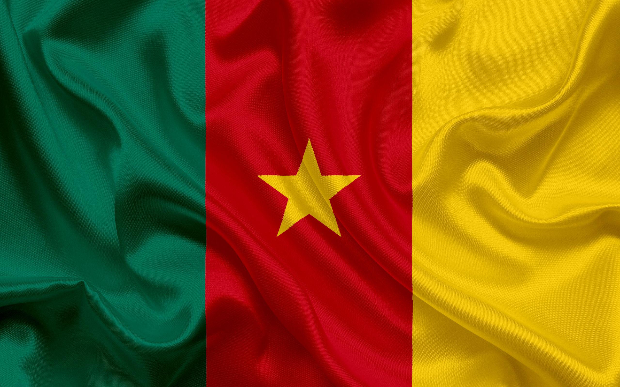 Download wallpaper Cameroon flag, Africa, Cameroon, national