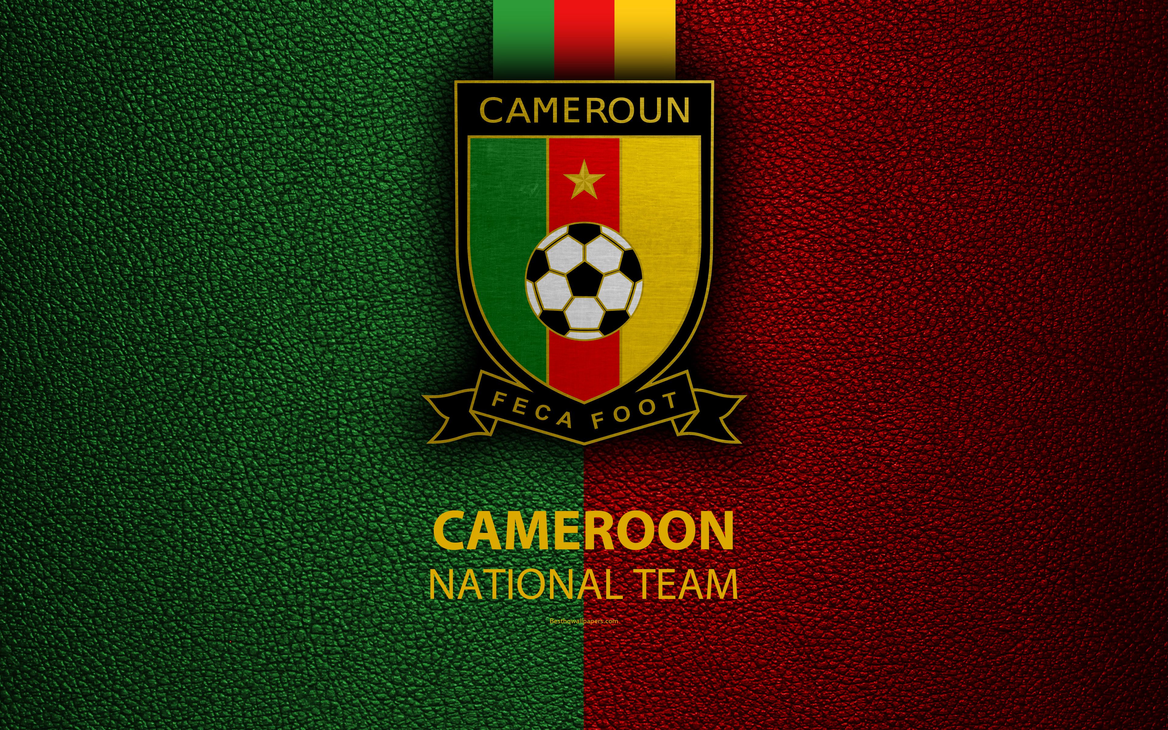 Download wallpaper Cameroon national football team, 4k, leather