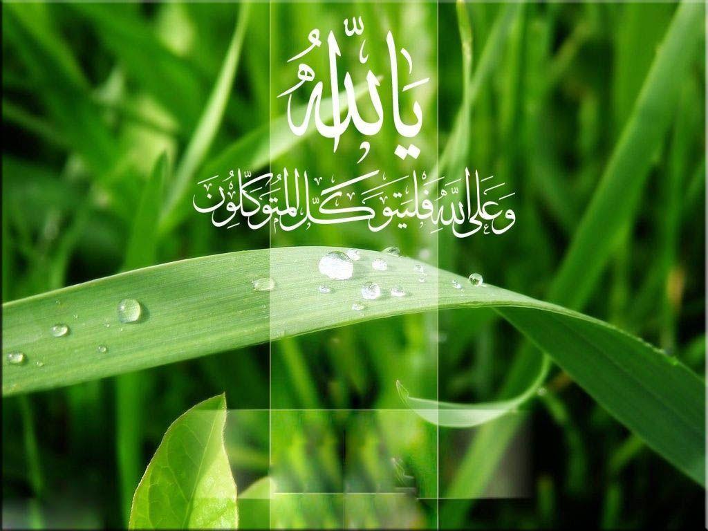 يا الله. .:: My Faith Heart Rest ::. Digital