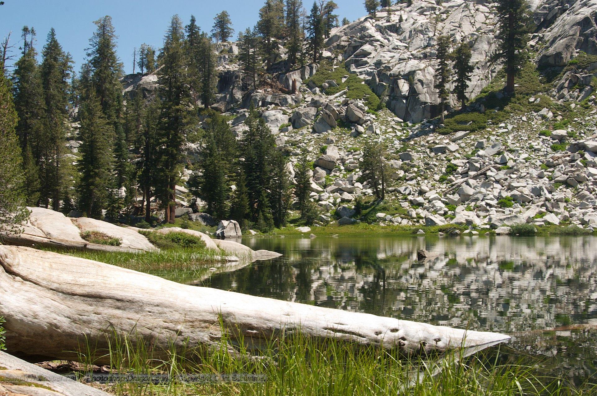 Quiet Pond in Sequoia National Park Desktop Wallpaper