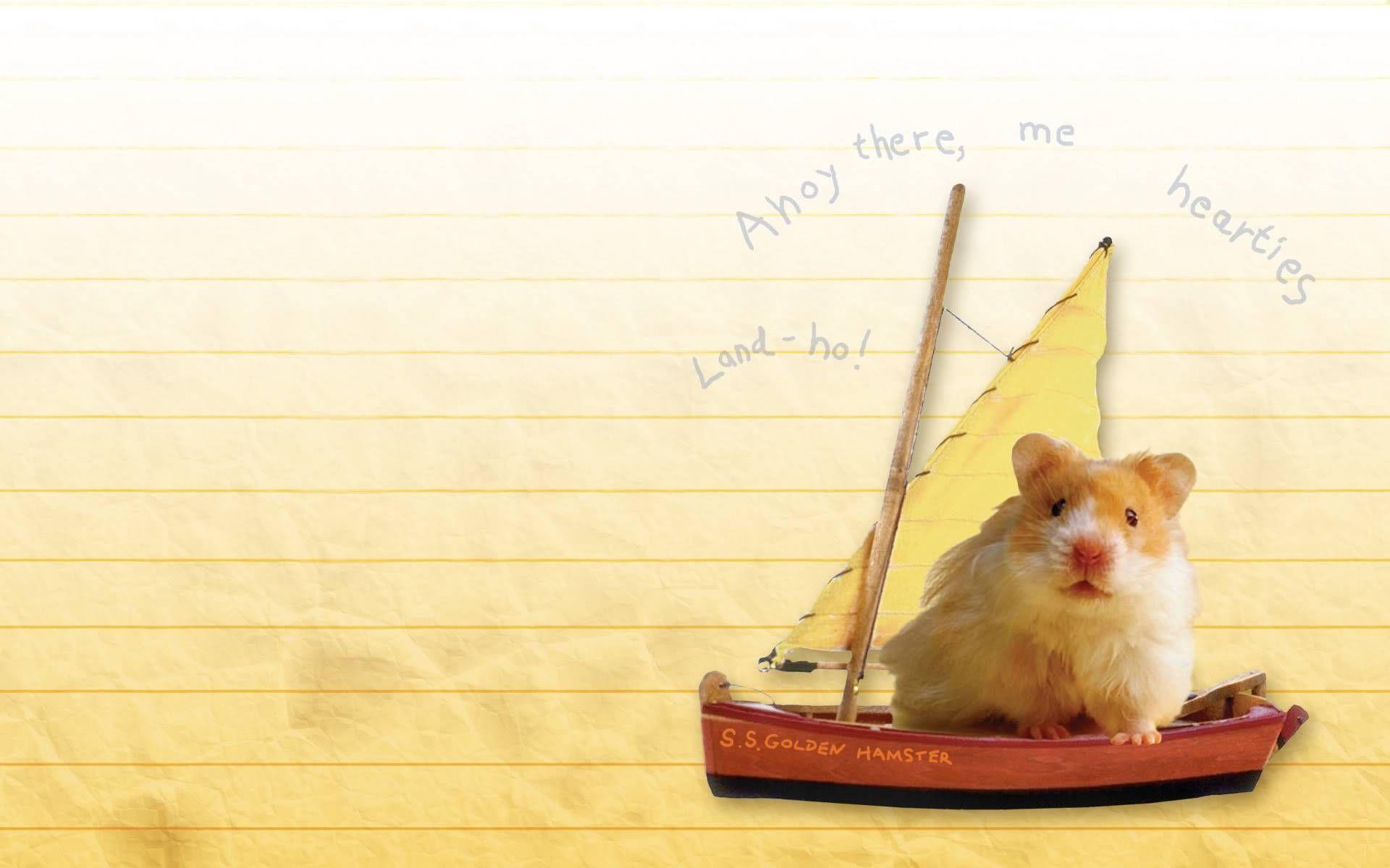 sparkler photo: Wallpaper> Hamster