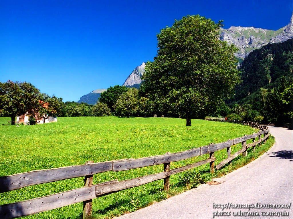 Harry Potter Scene Wallaper 1024x768 NO.7 Desktop Wallpaper