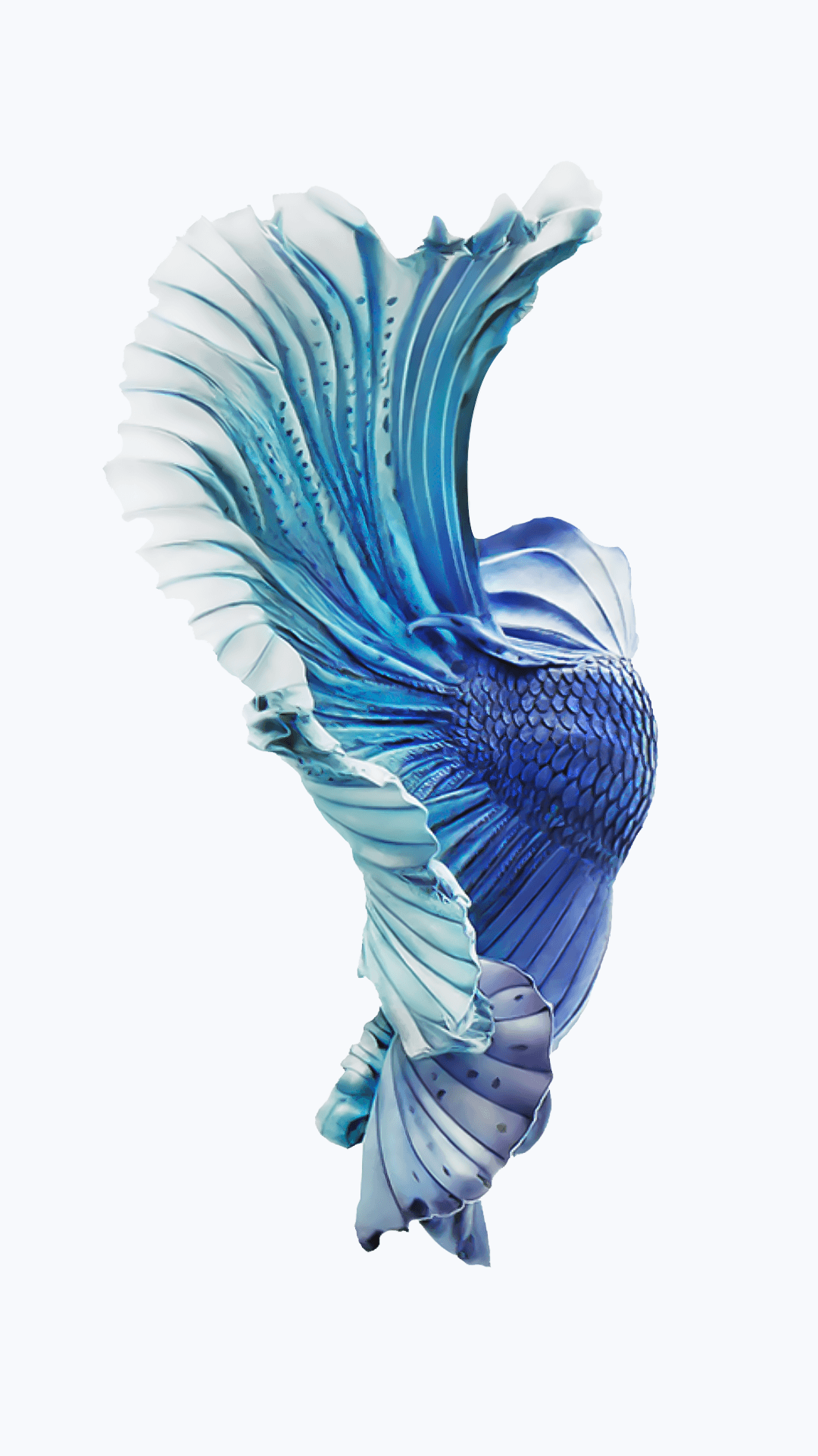 iPhone fish background