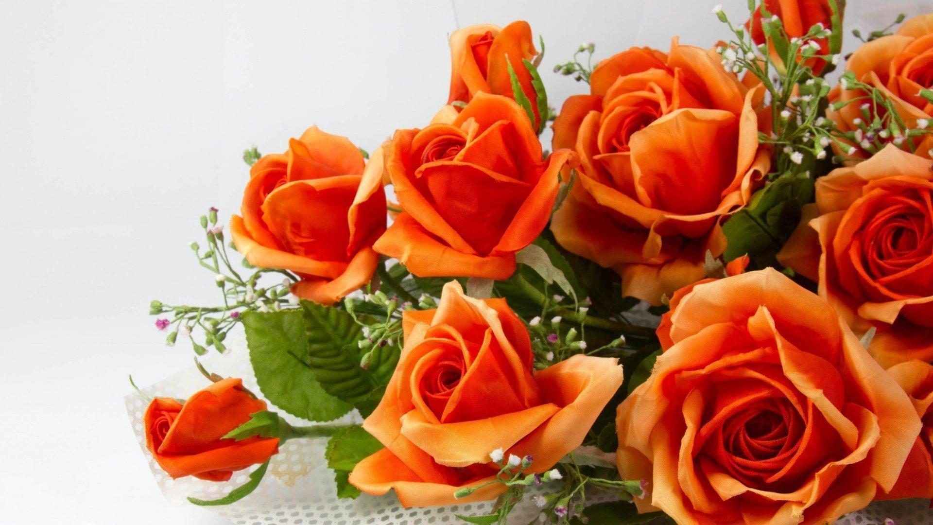 Save 13% on dozen orange #roses at Clare Florist. Gifts, Flowers