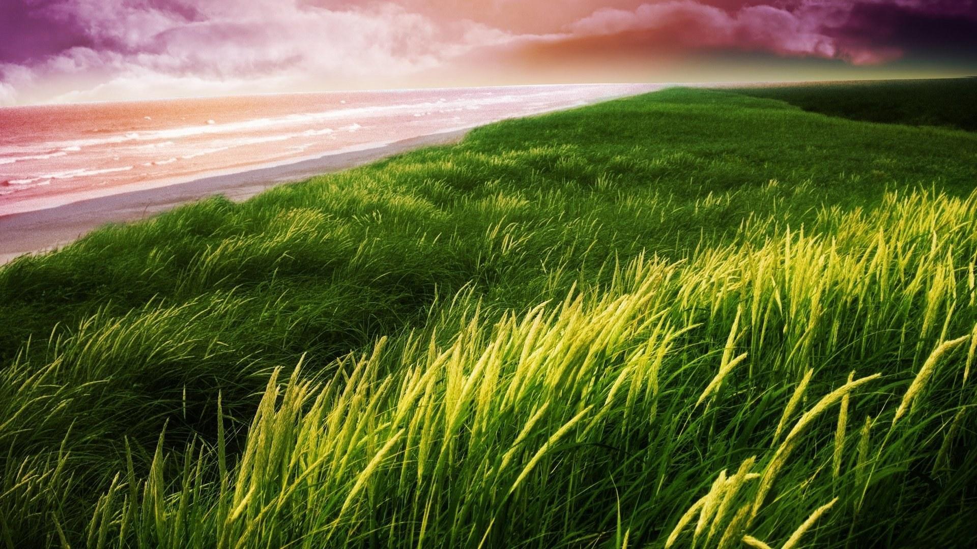 Picture Nature Grasslands Grass