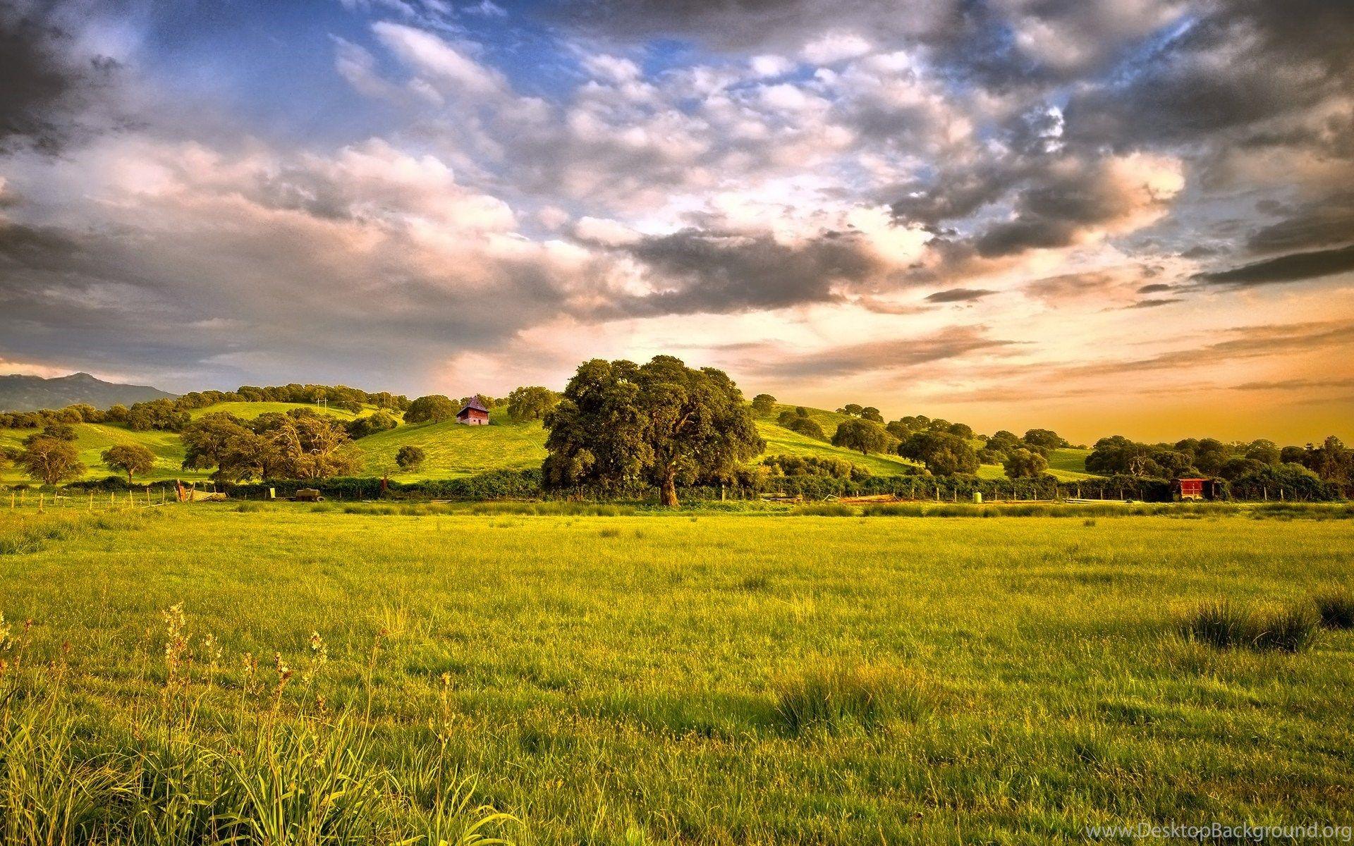 Beautiful Green Grassland, Photography, 1920x1200 HD Wallpaper