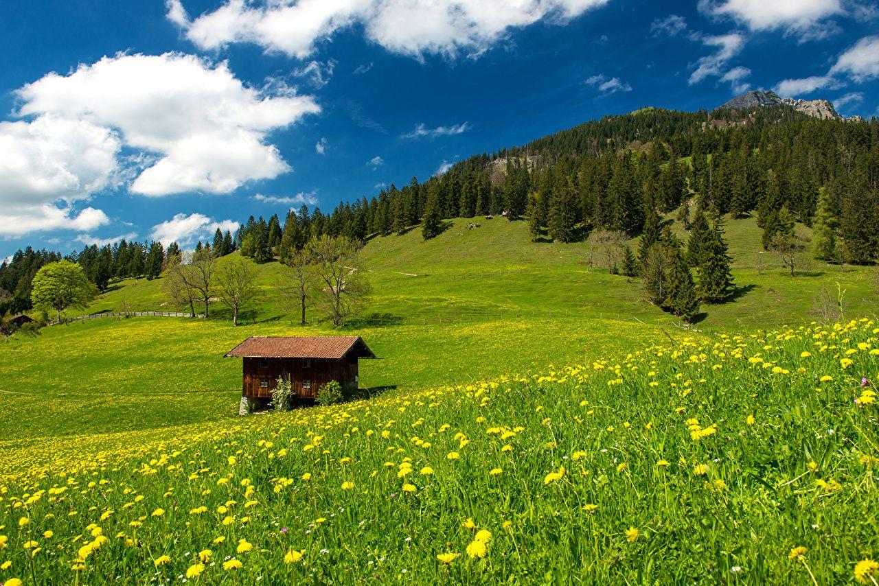 Wallpaper Bavaria Alps Germany Nature Grasslands Landscape