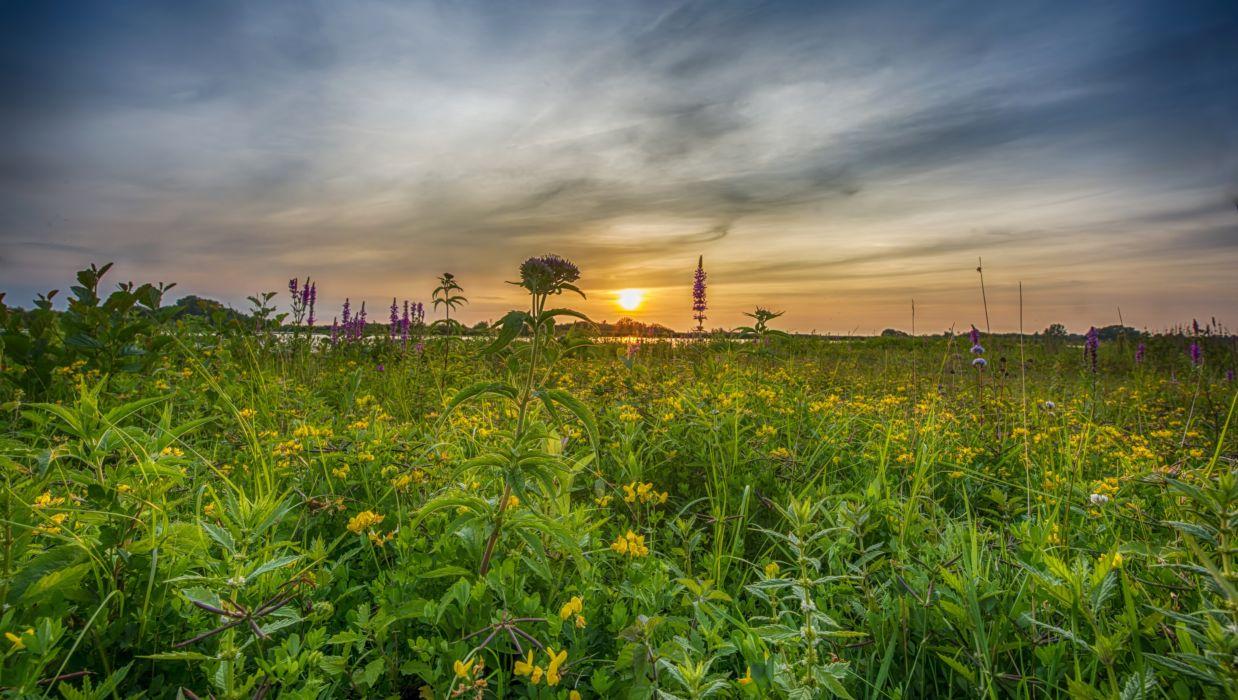 Sunrises and sunsets Sky Grasslands Sun Nature wallpaper wallpaper