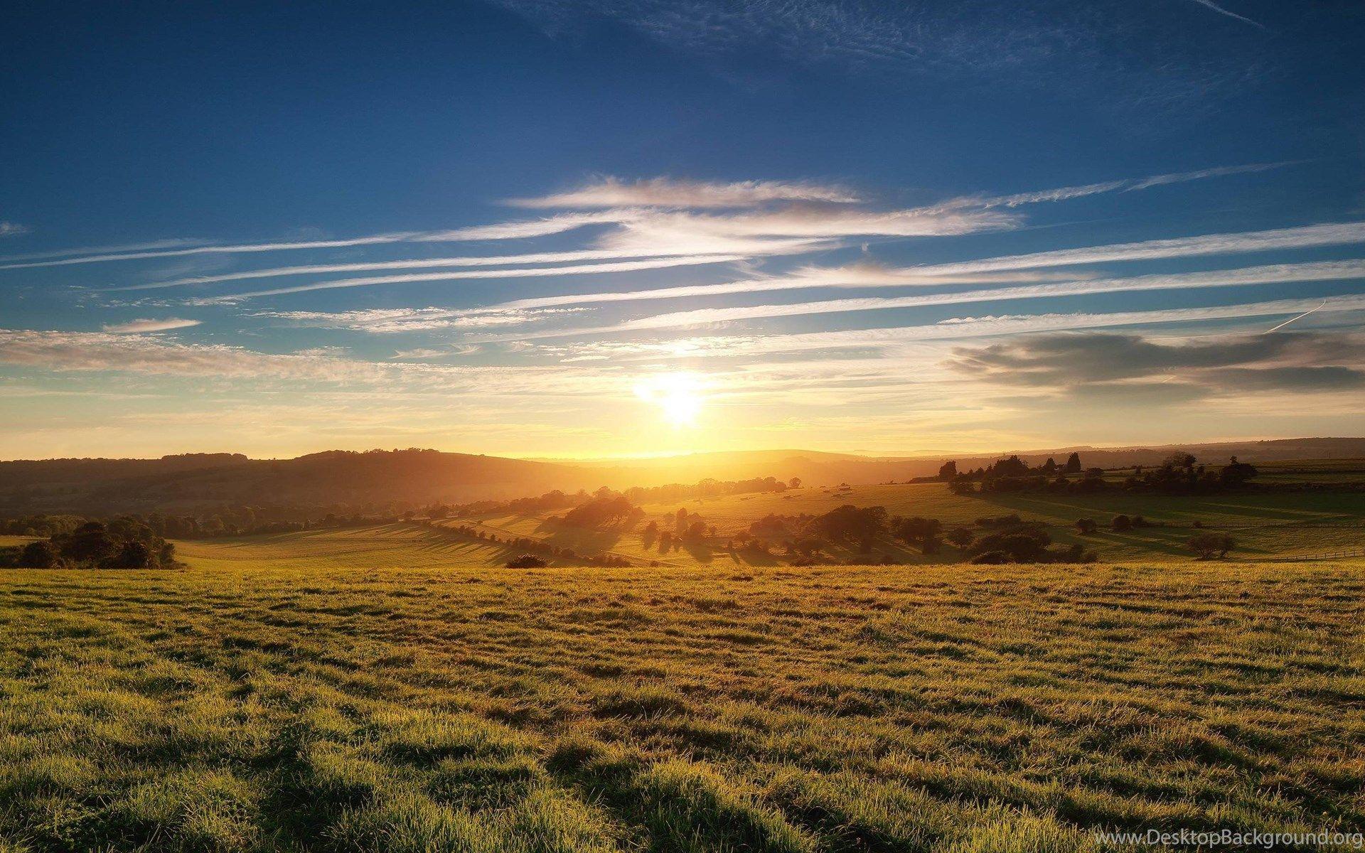 Sunset Grassland HD Wallpaper • IPhones Wallpaper Desktop Background