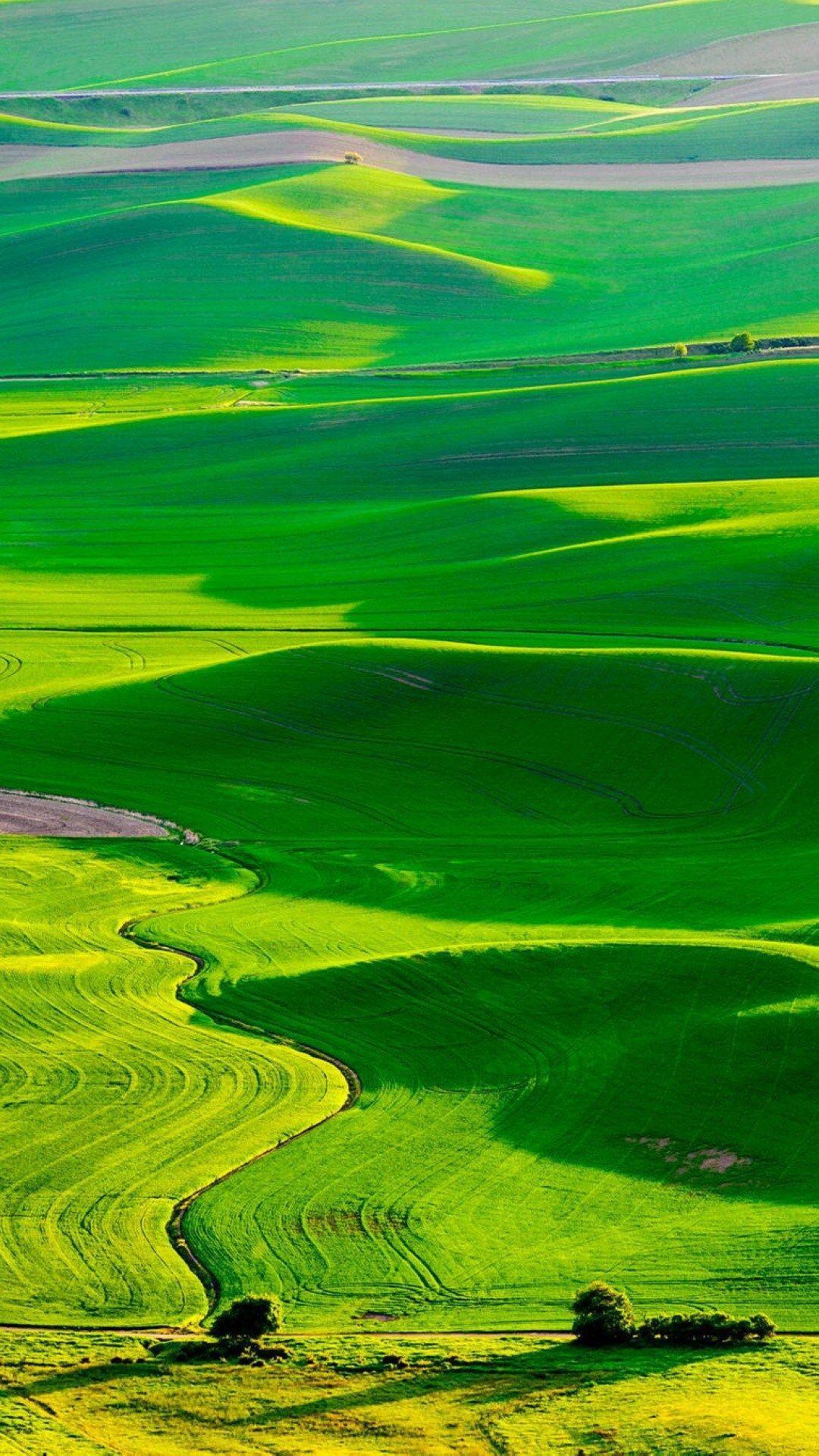 Nature Fresh Grassland Landscape #iPhone #plus #wallpaper