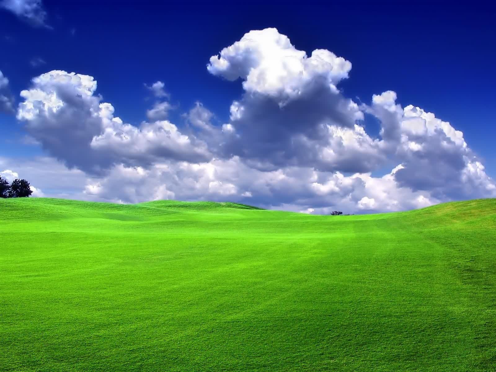 Lovely Green Grassland Sky Grass Nature Cool Wallpaper