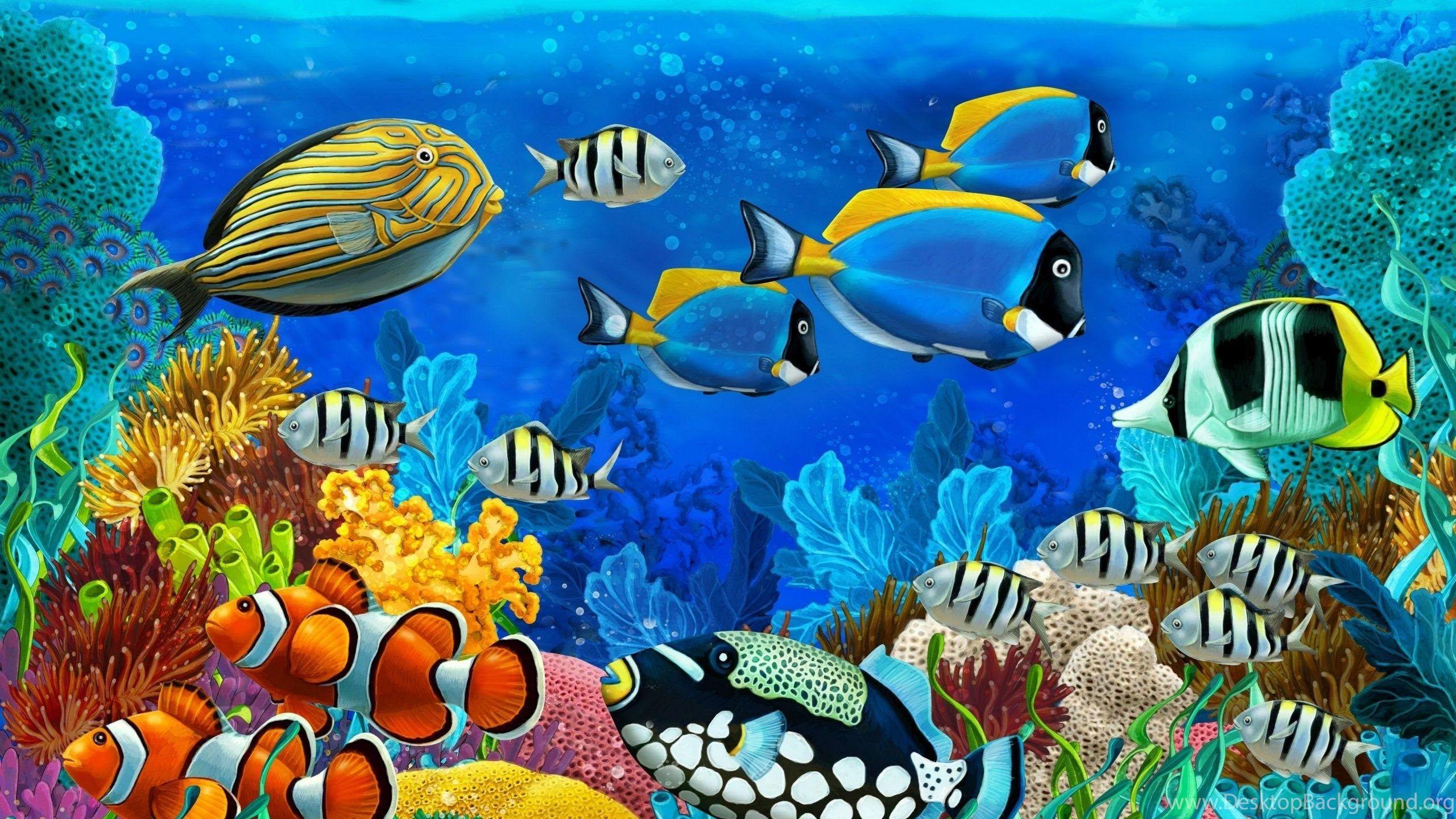 Reef Fish Sea Life Wallpaper For Desktop Of Underwater Life Desktop