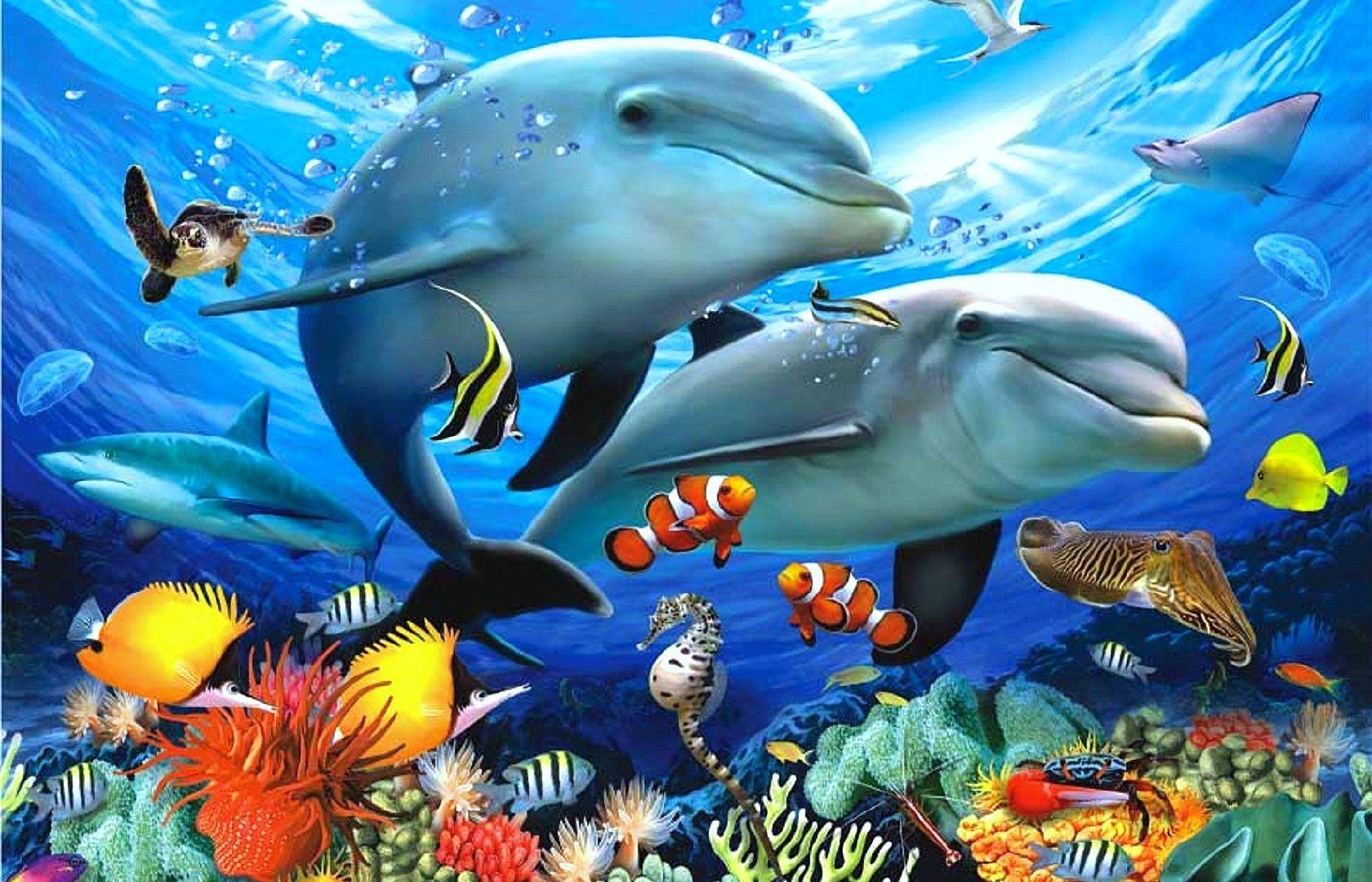 Aquatic Animals Wallpapers - Wallpaper Cave