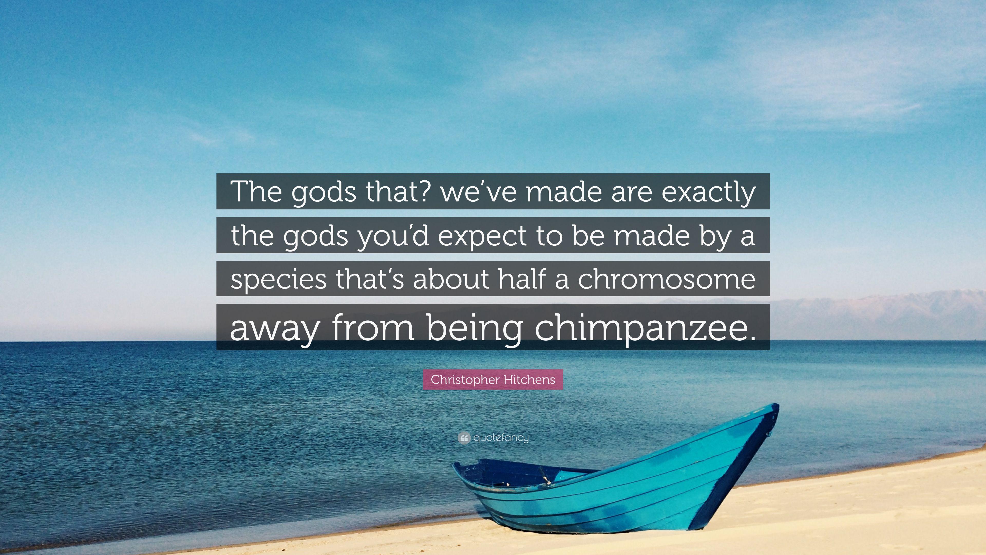 Christopher Hitchens Quote: “The gods that? we've made are exactly
