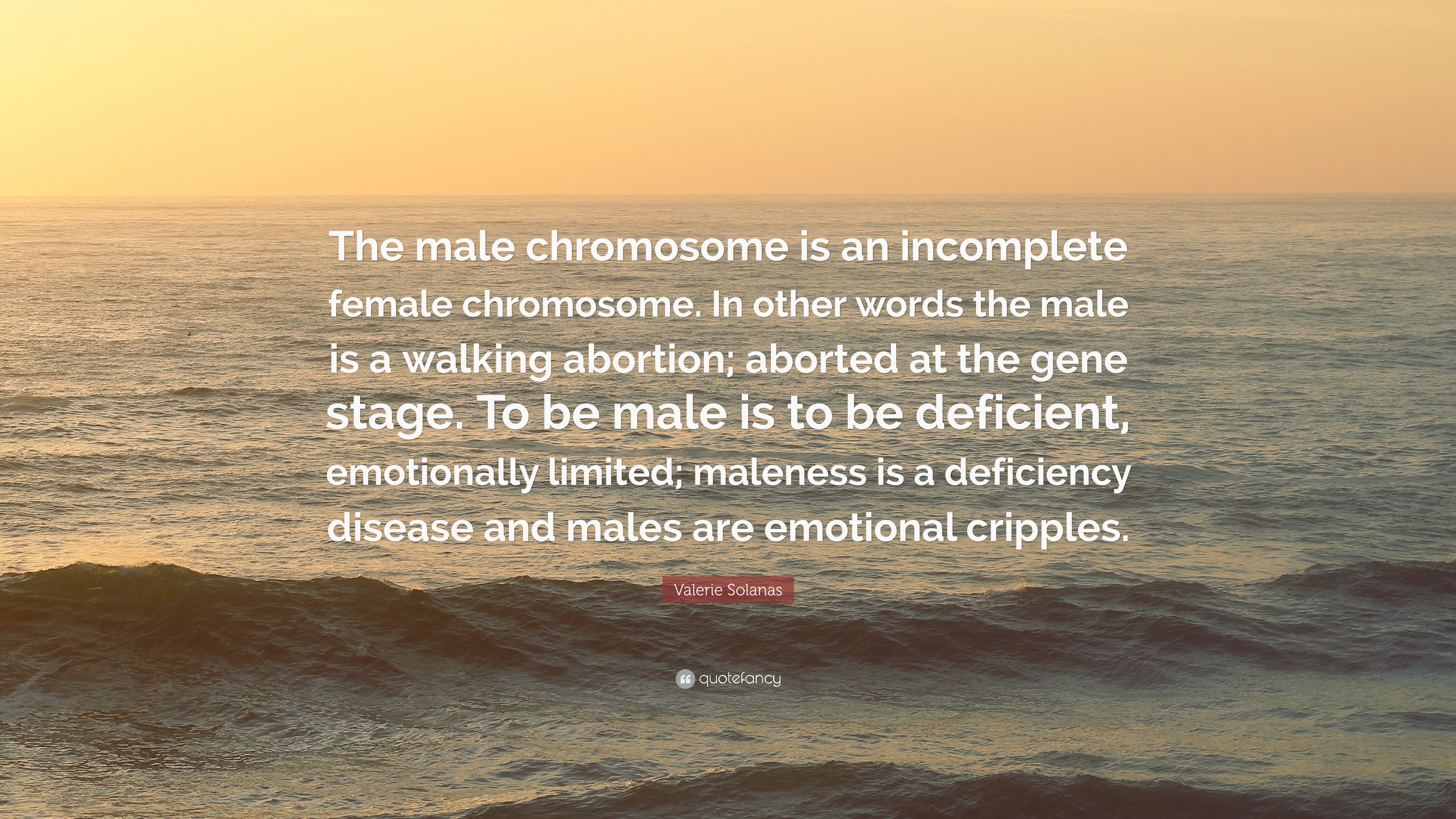 Valerie Solanas Quote: “The male chromosome is an incomplete female