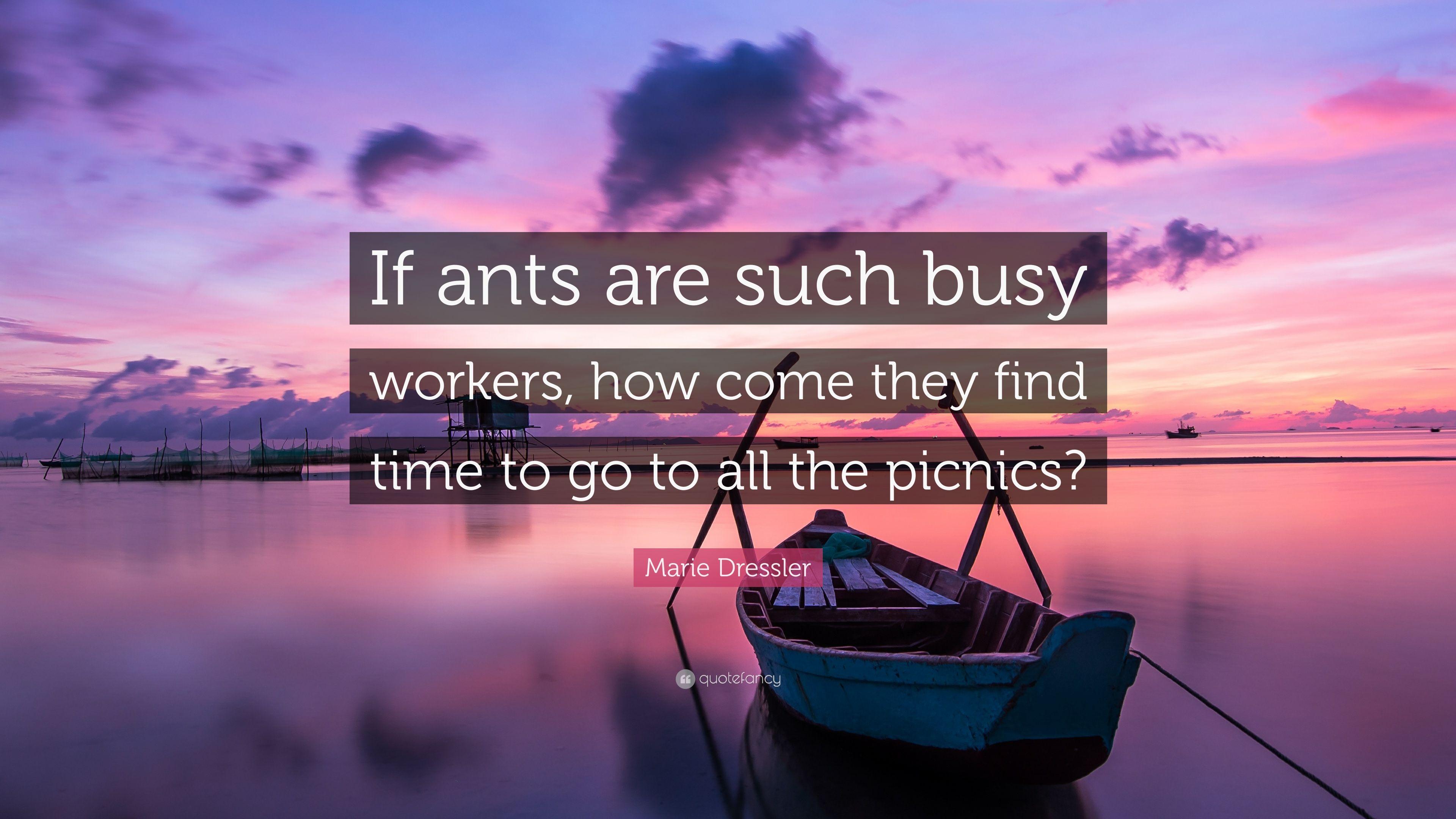 Marie Dressler Quote: “If ants are such busy workers, how come they