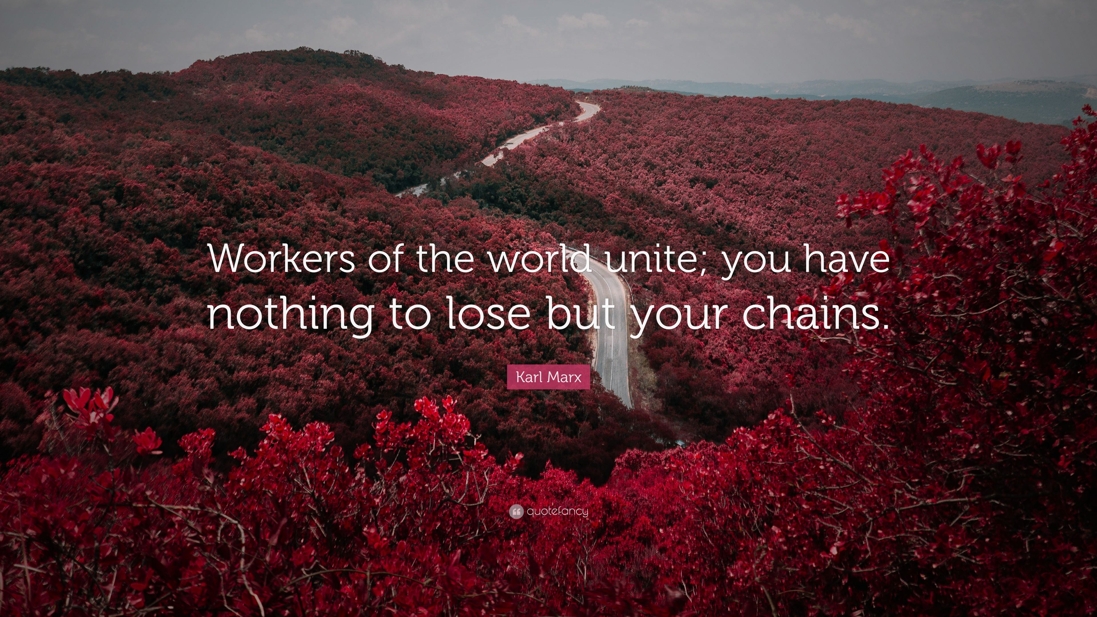 Karl Marx Quote: “Workers of the world unite; you have nothing to