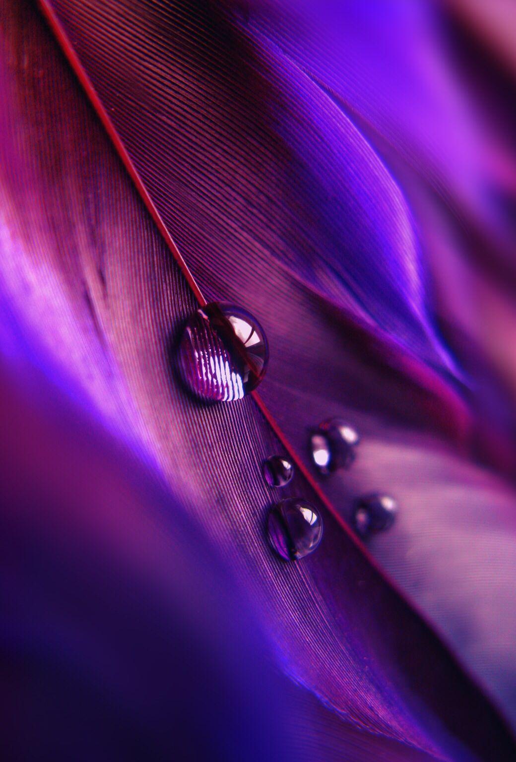 Macro Purple droplets - ©Krissy Katsimbras via FineArt America