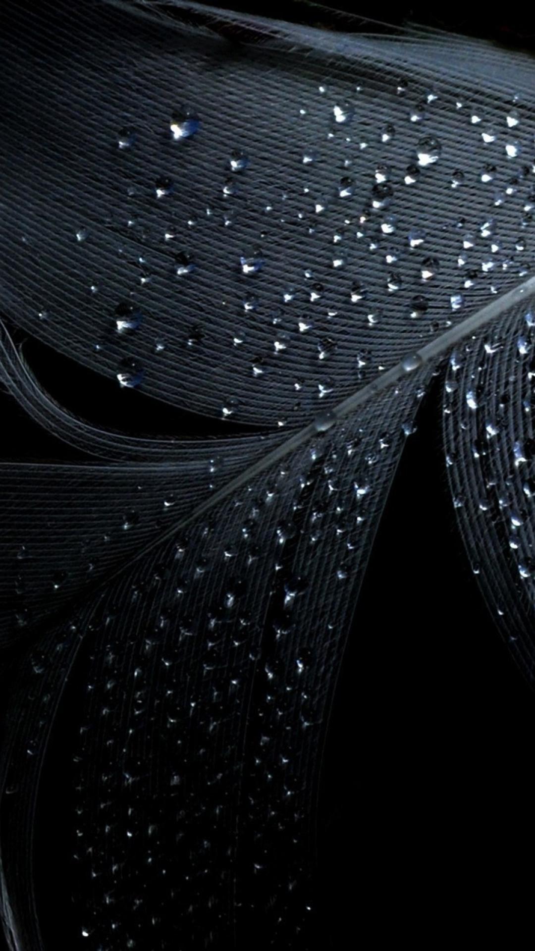 Black Feather Water Drops Wallpapers - Wallpaper Cave