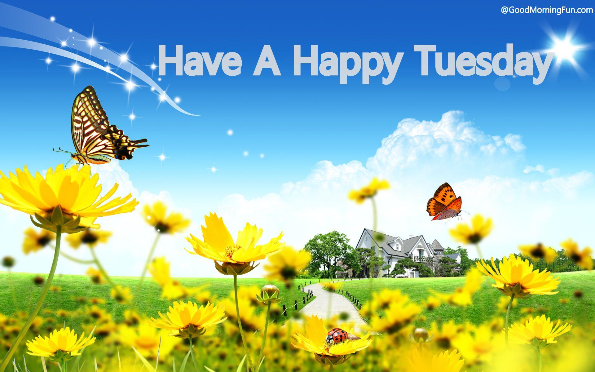 150+ Happy Good Morning Tuesday Images | Happy Tuesday Quotes