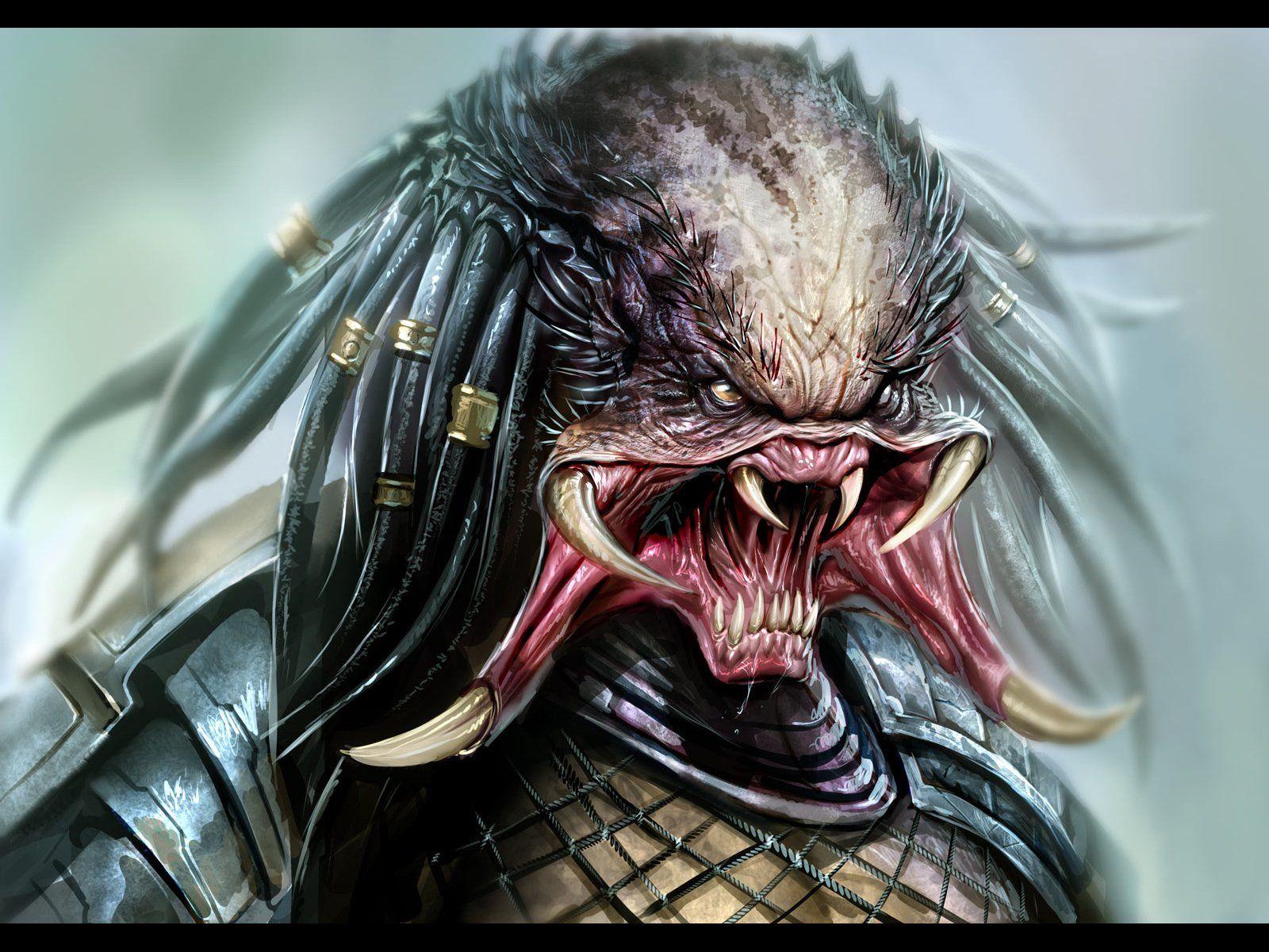 Predator HD Wallpaper and Background Image