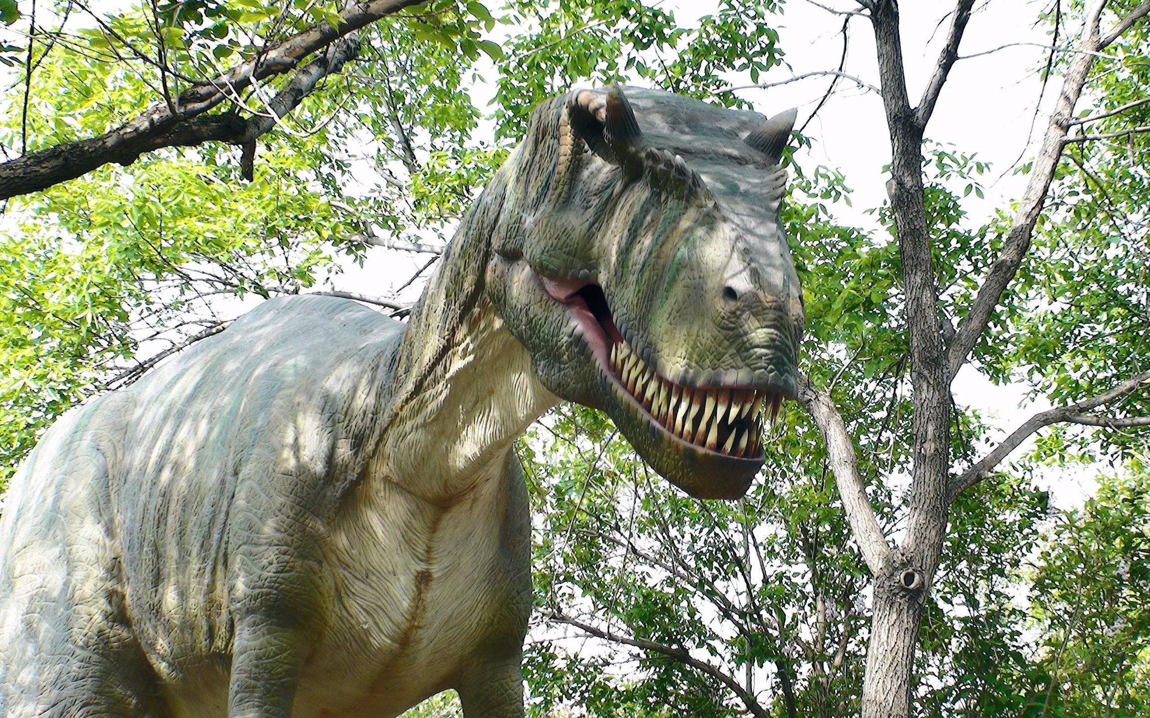 Tyrannosaurus Rex Wallpaper