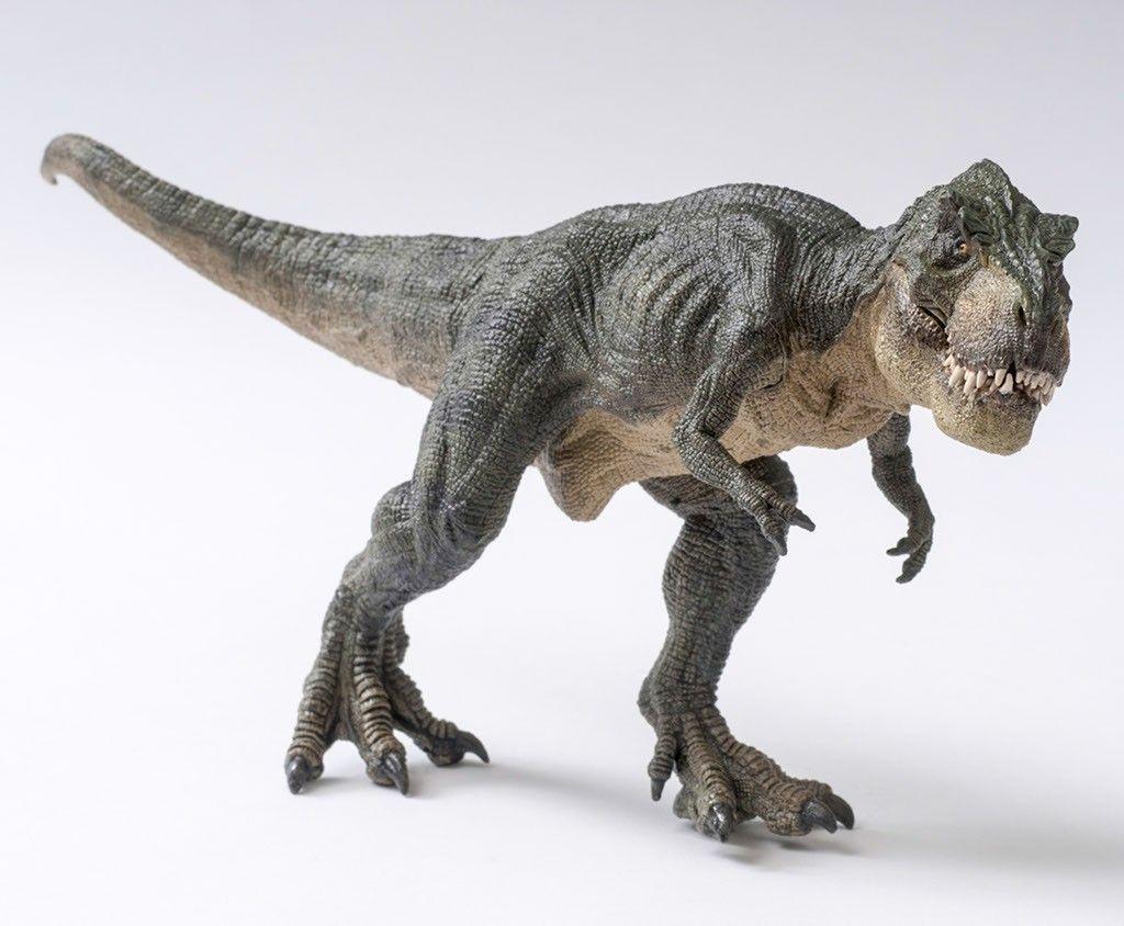 Tyrannosaurus Rex HD Wallpaper