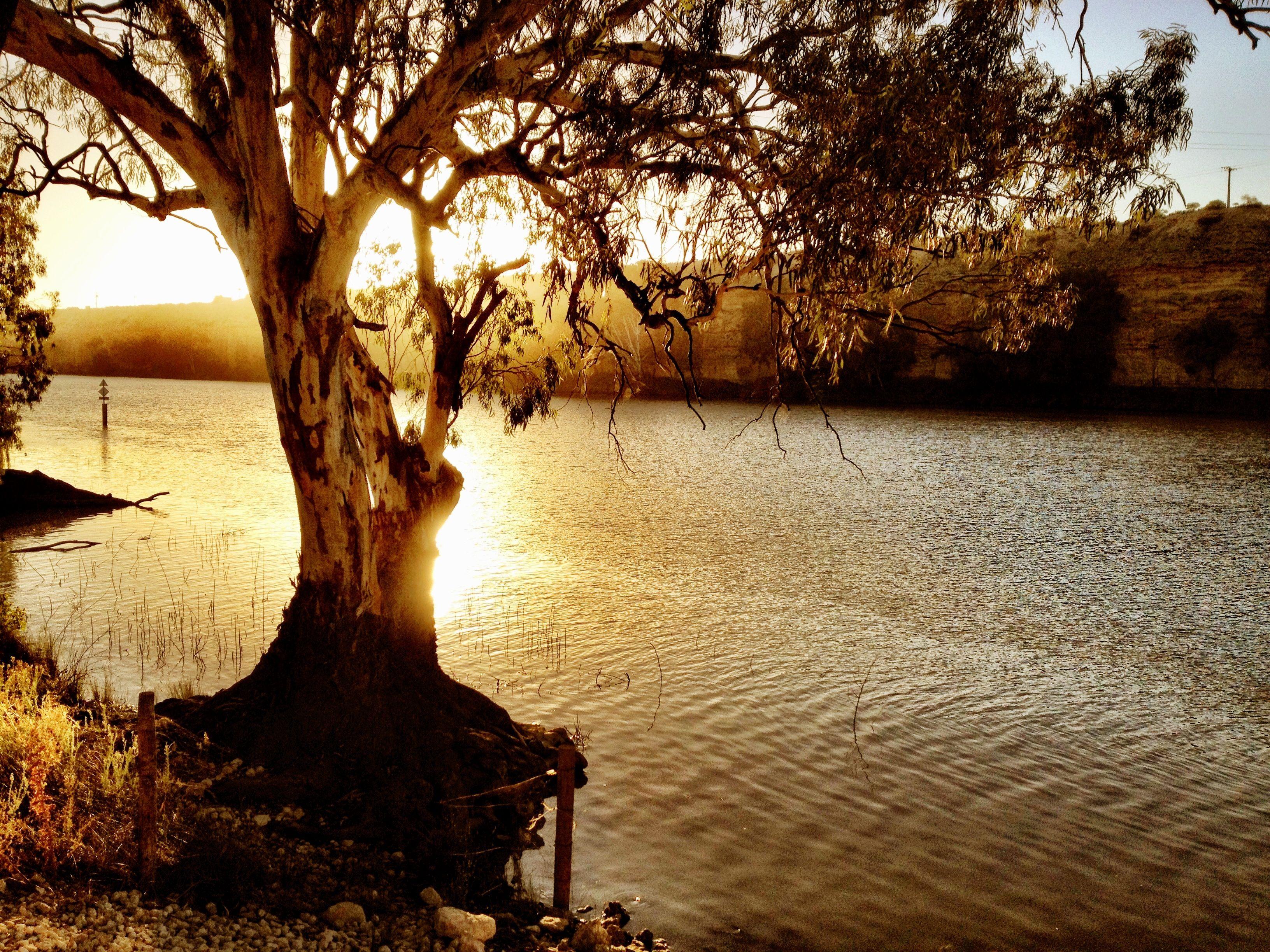 Murray River Wallpaper and Background Image