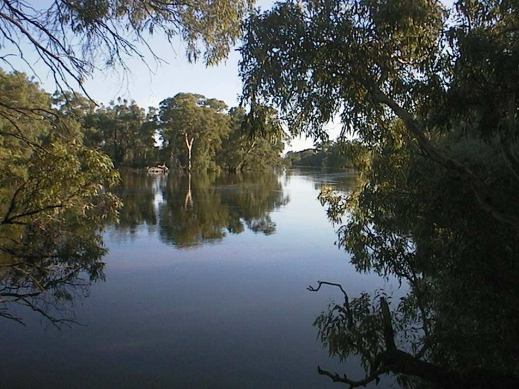 Полноводные реки предложение. Самая полноводная река Австралии. Река Дарлинг.  Внутренние воды: реки: Дарлинг. Внутренние воды Австралии.