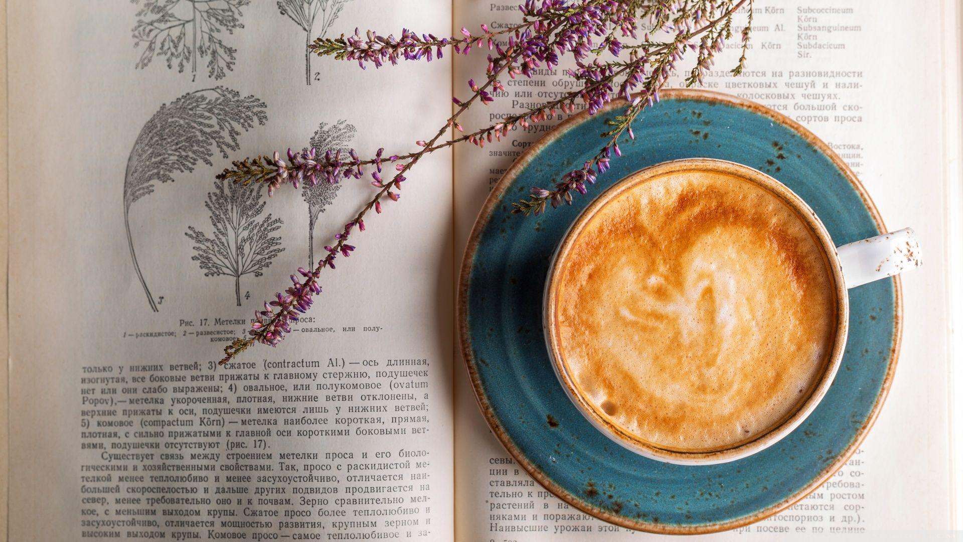 Cappuccino, Old Botany Book ❤ 4K HD Desktop Wallpaper for 4K Ultra