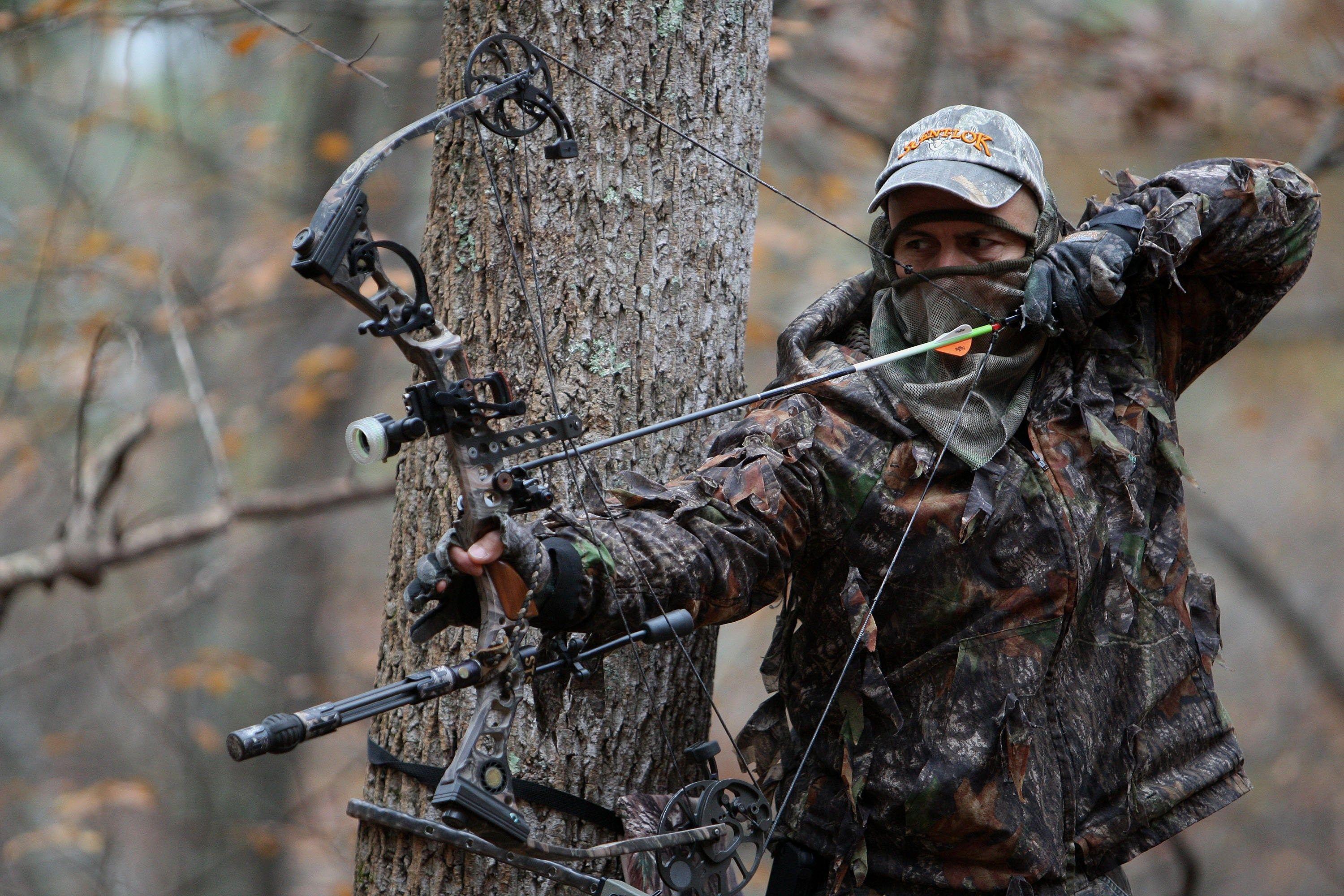picture of archery. ololoshenka. Bowhunting, HD