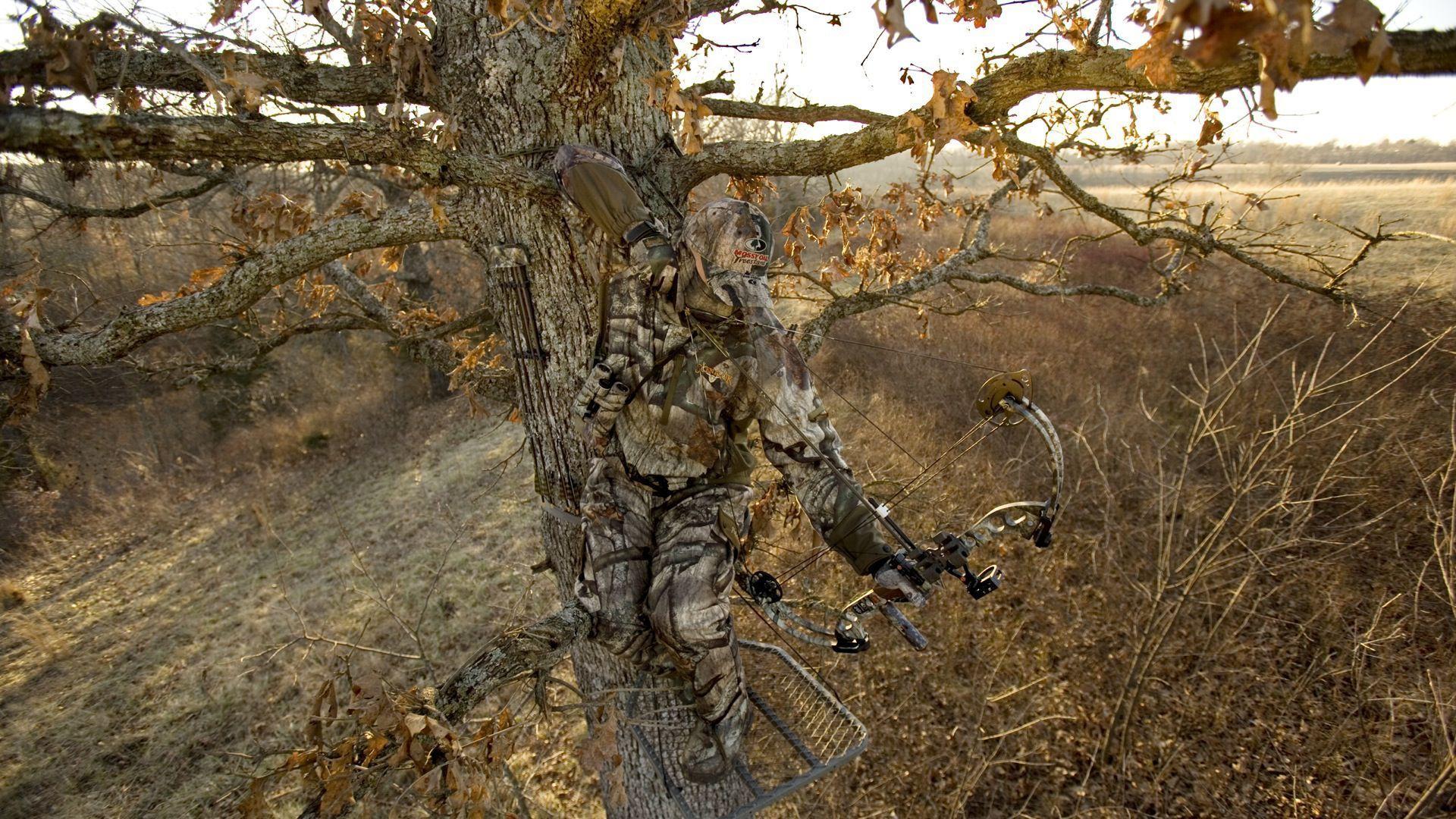 Bowhunting wallpaper Gallery