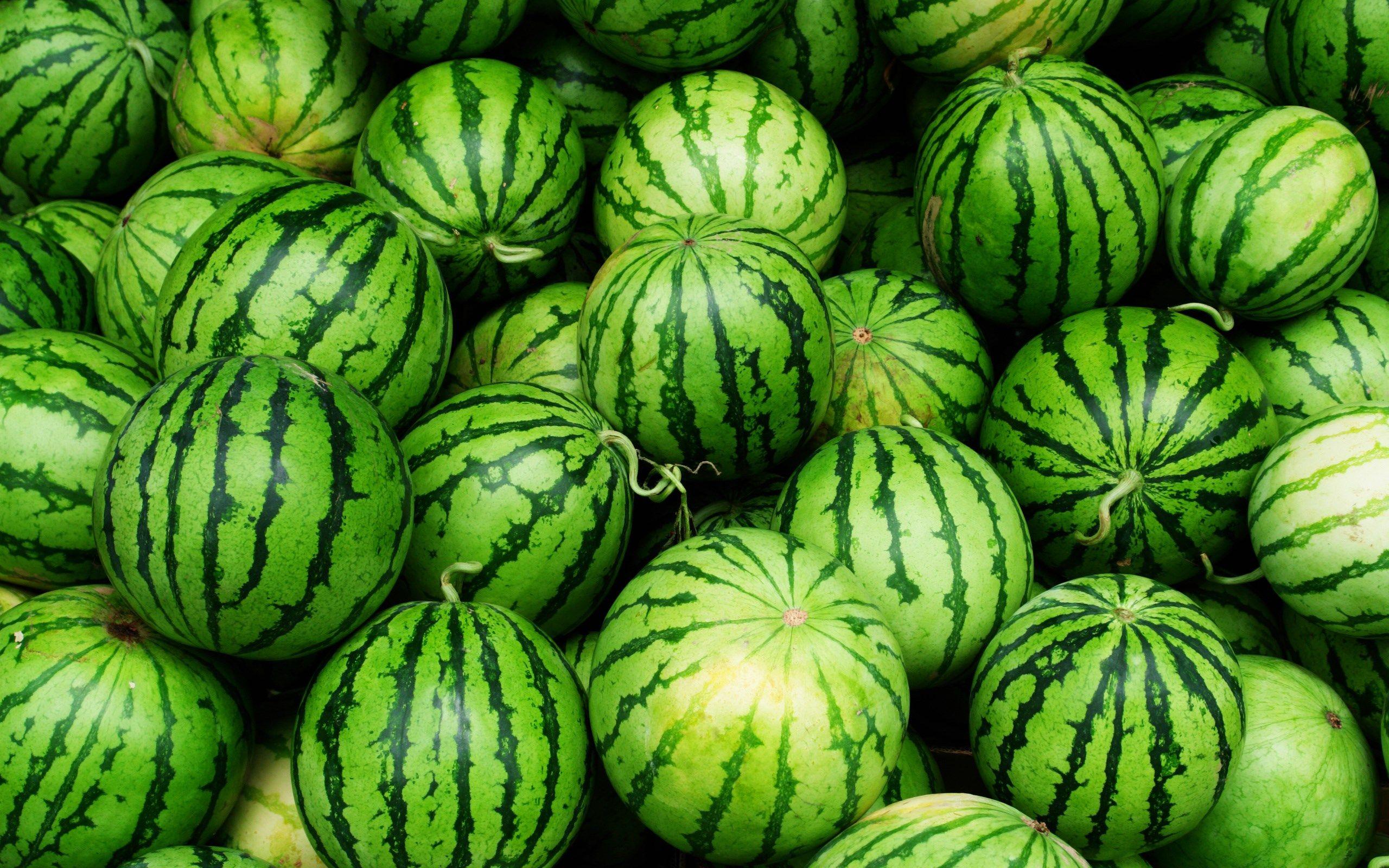 watermelon, Wallpaper Collection