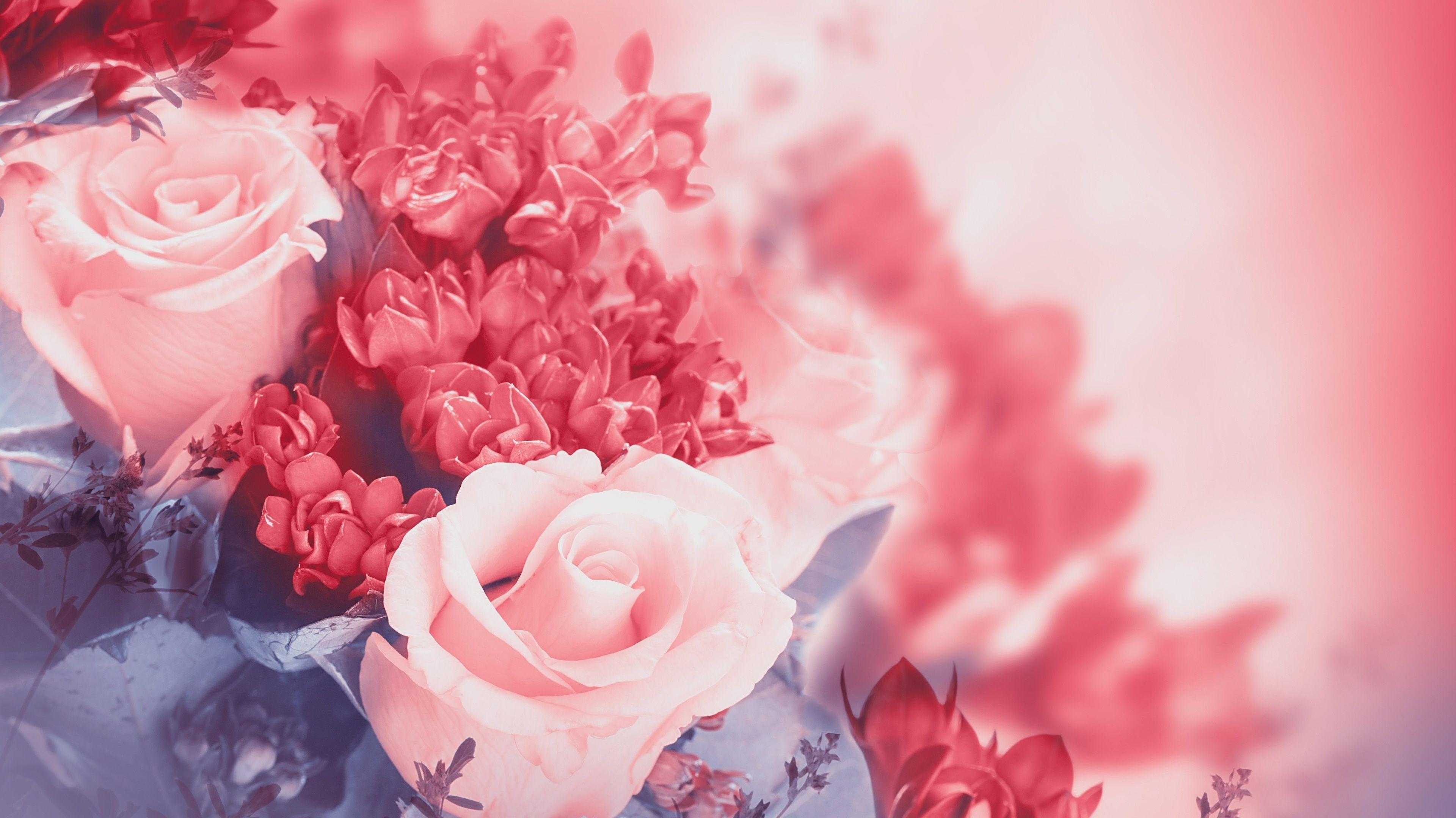Wallpaper Pink flowers, rose, petals, buds 3840x2160 UHD 4K Picture