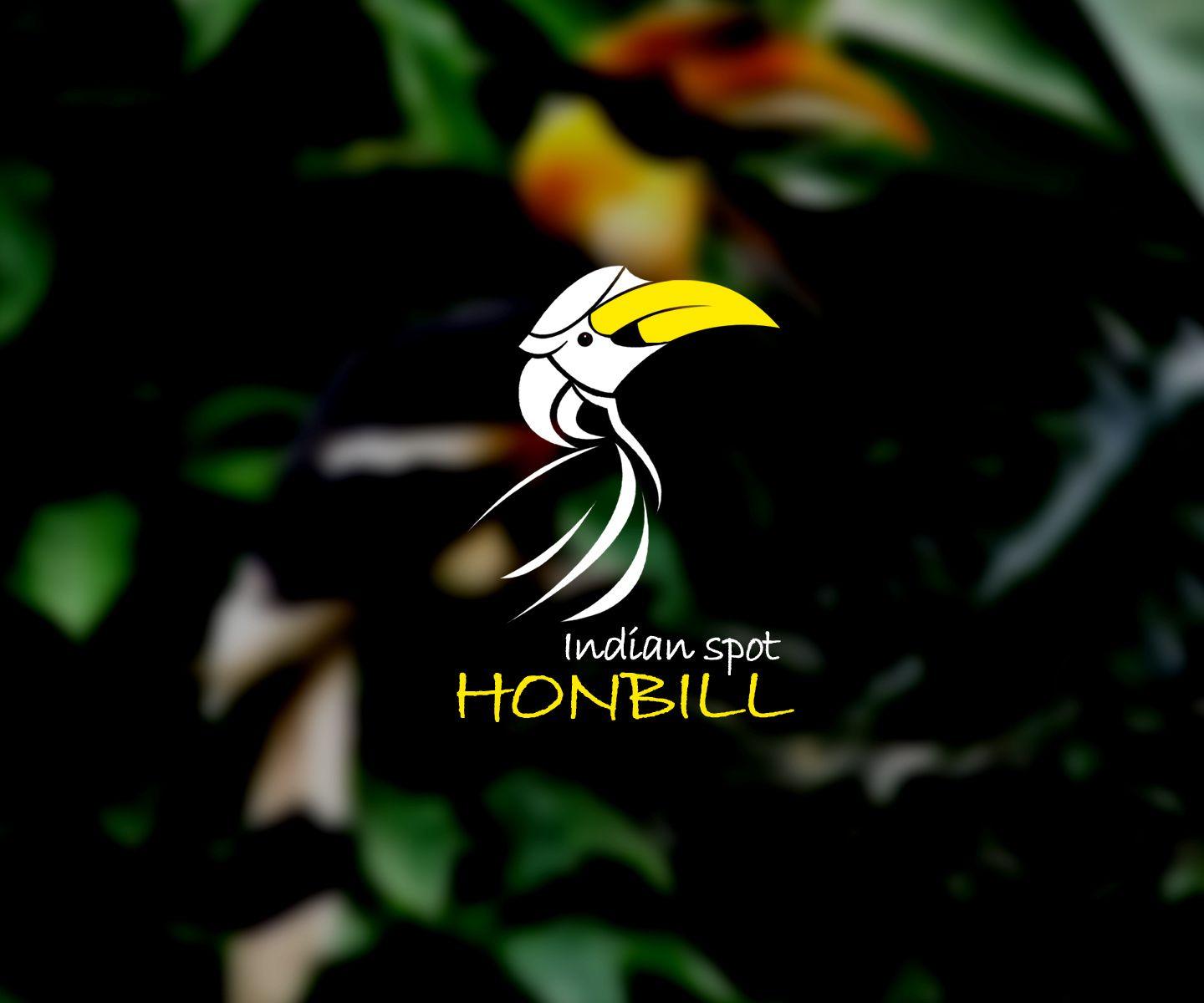 Hornbill Wallpaper 7 X 1200