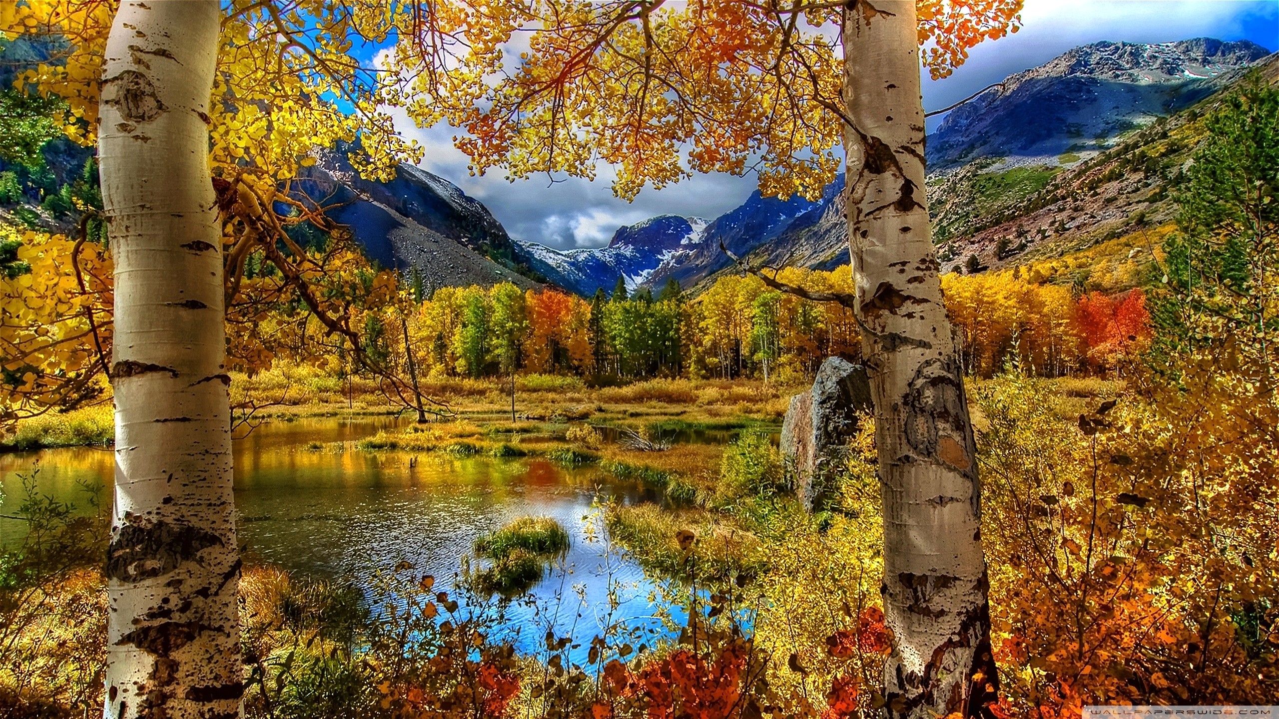 Remarkable Fall Scenery Wallpaper And Perfect Autumn 4K HD Desktop